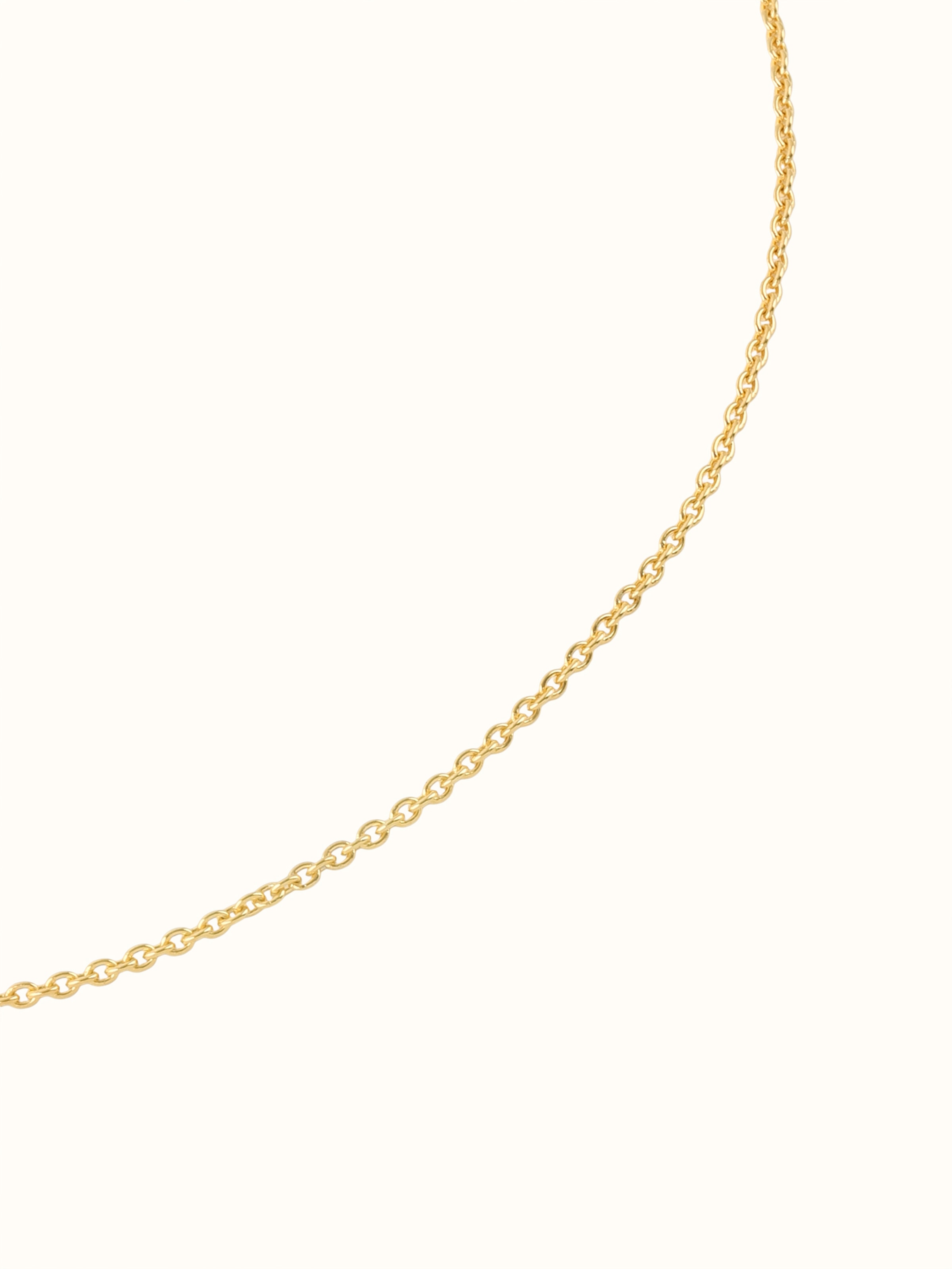 Detail shot of Tarkashi Silver Long Necklace