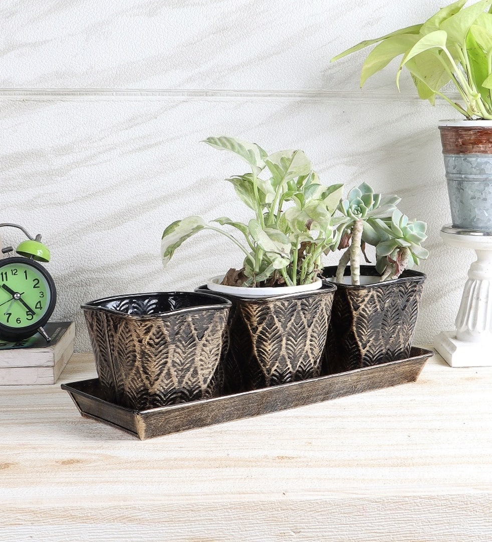 Metal Table Planters With Tray Set Of 4 In Black And Gold Colour