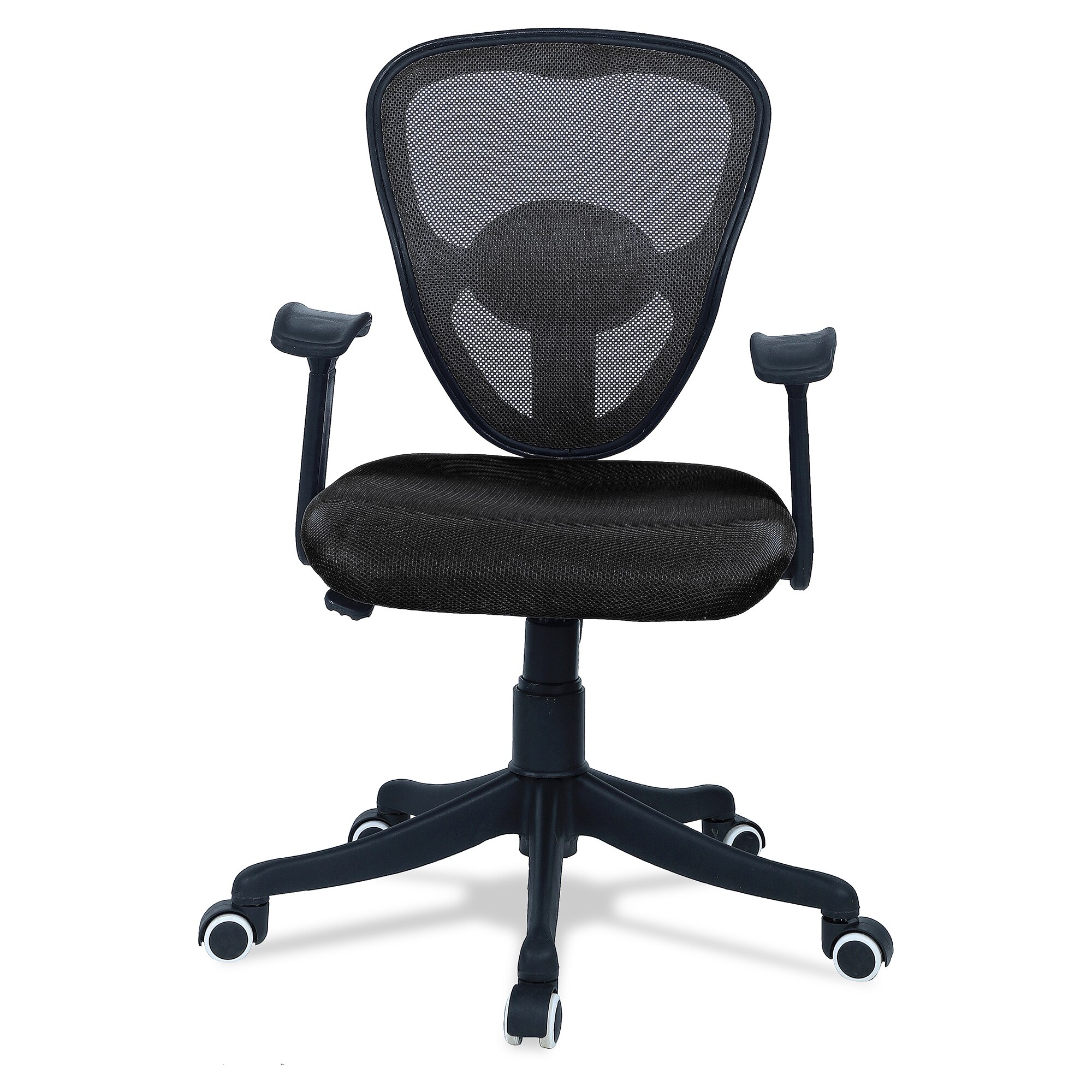 Aaeroa Low Back Ergonomic Chair in Black Colour
