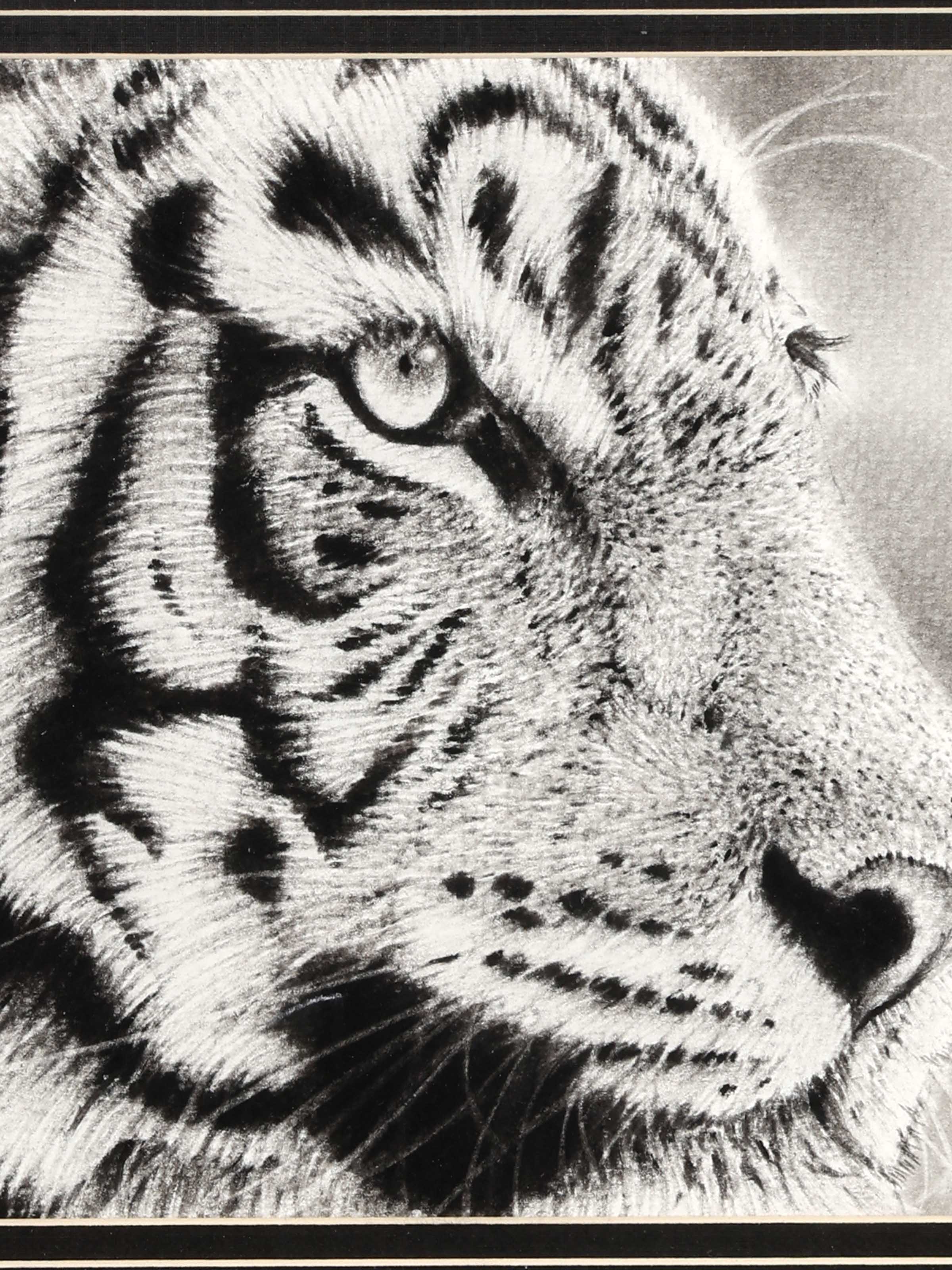 Tiger on Hunt Miniature Painting