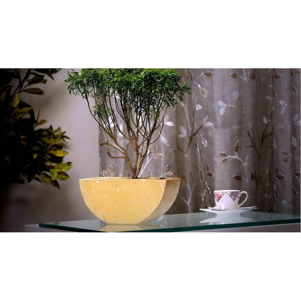 Claire Yellow Marble Planter