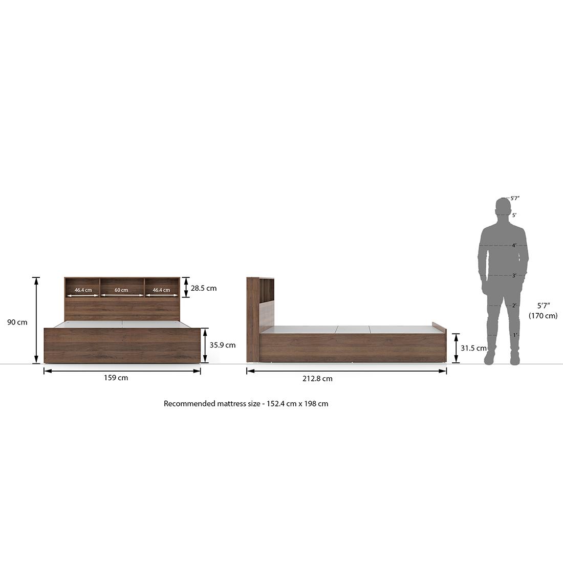 Jasper Engineered Wood Queen Size Box Storage Bed In Classic Walnut Finish