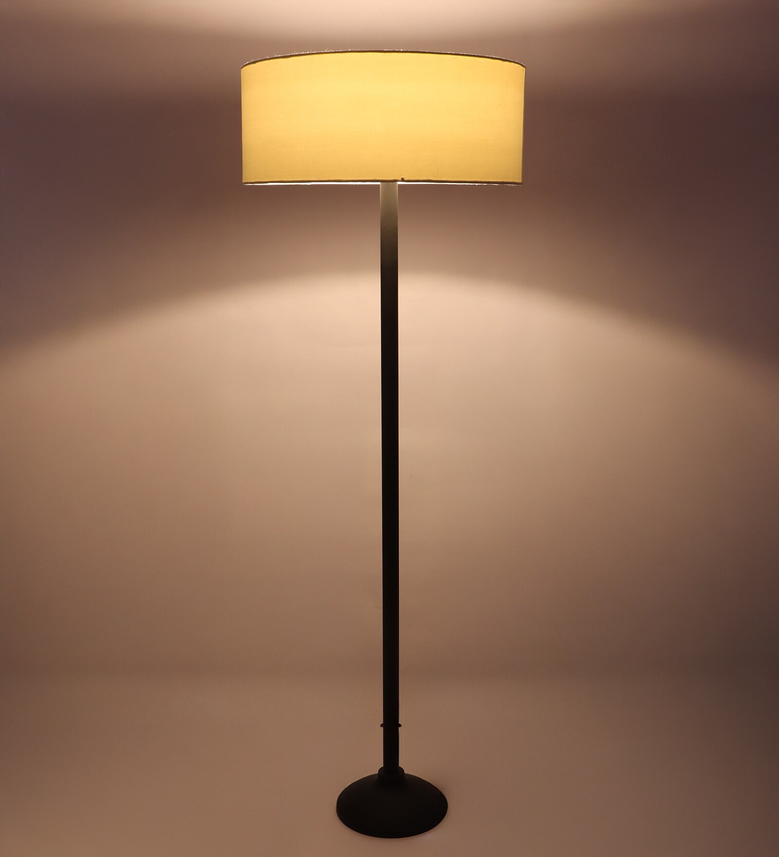 FZ DG Shade Floor Lamp in White Shade