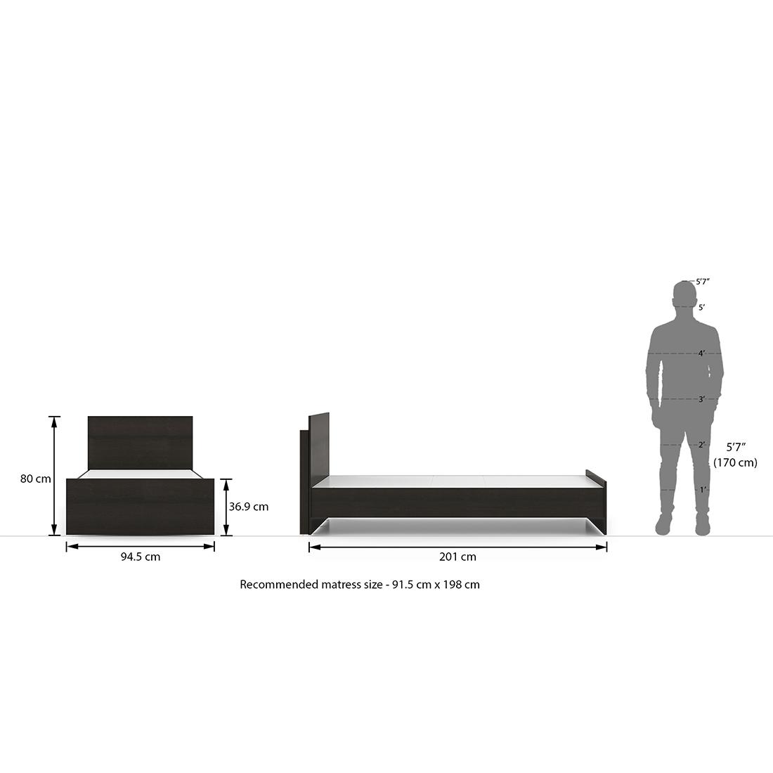 Zoey Non Storage Single Bed In Dark Wenge Finish