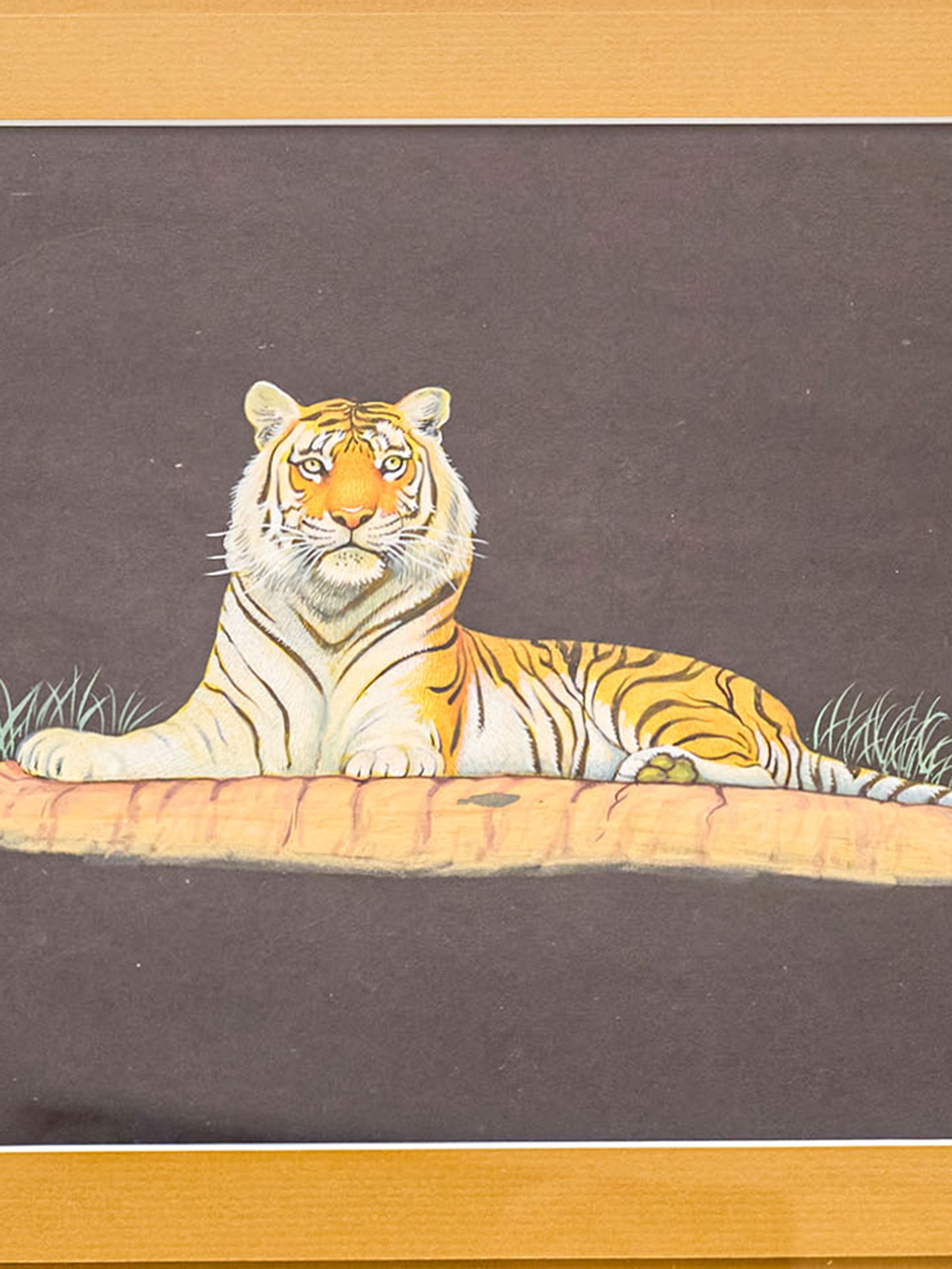 Tiger Miniature Painting
