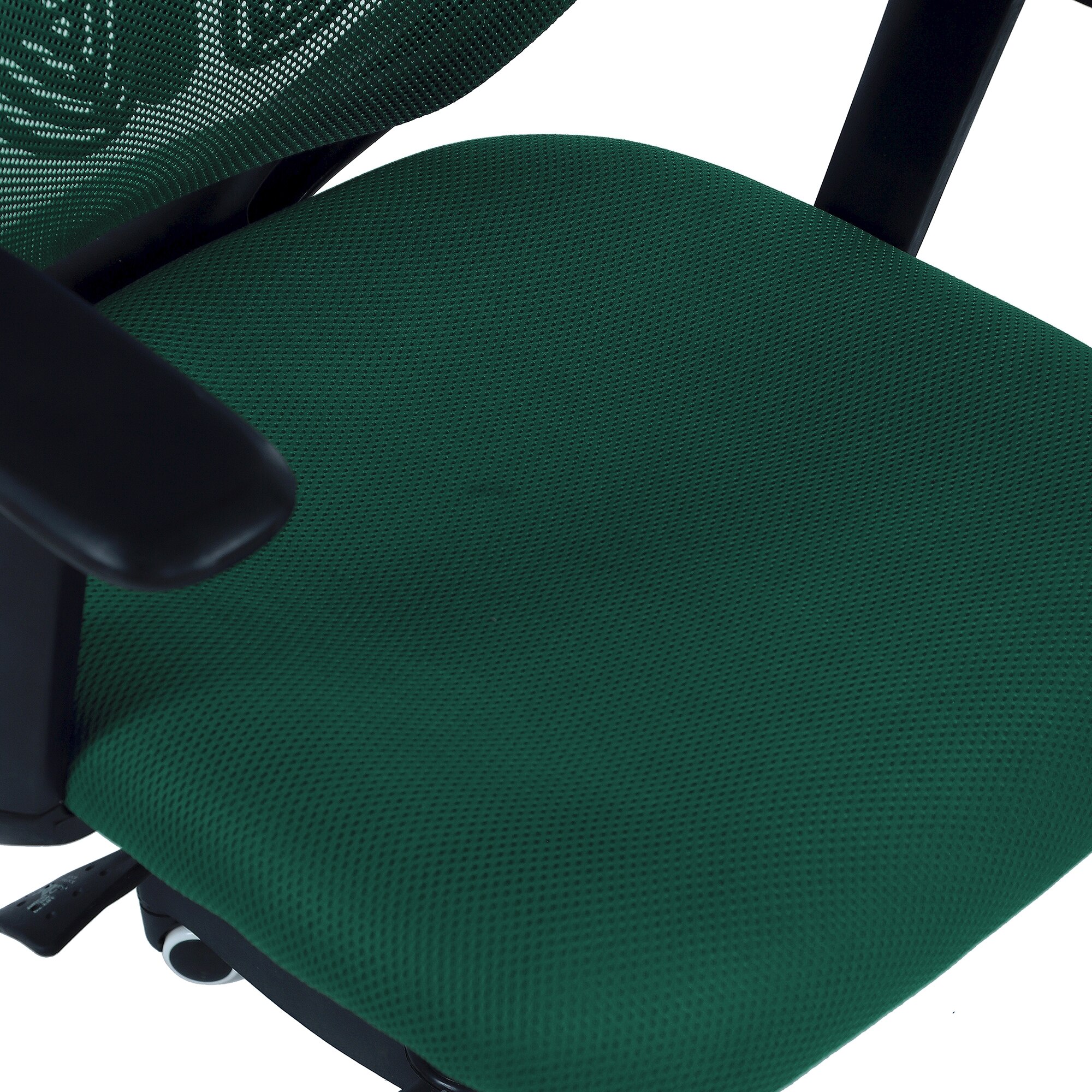 Zeeazyana High Back Ergonomic Chair in Dark Green Colour