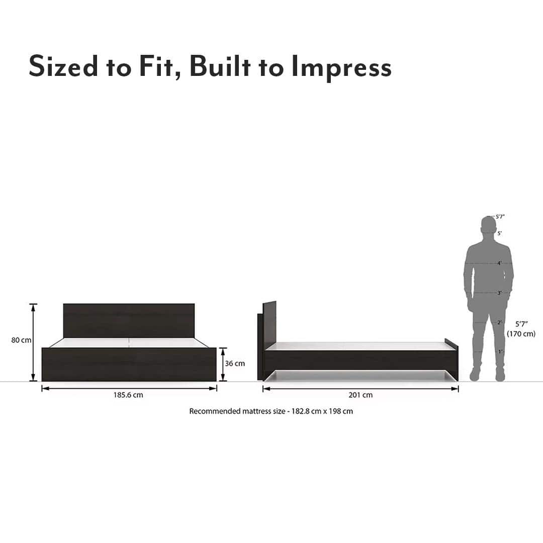 Zoey Engineered Wood King Size Bed In Dark Wenge Finish