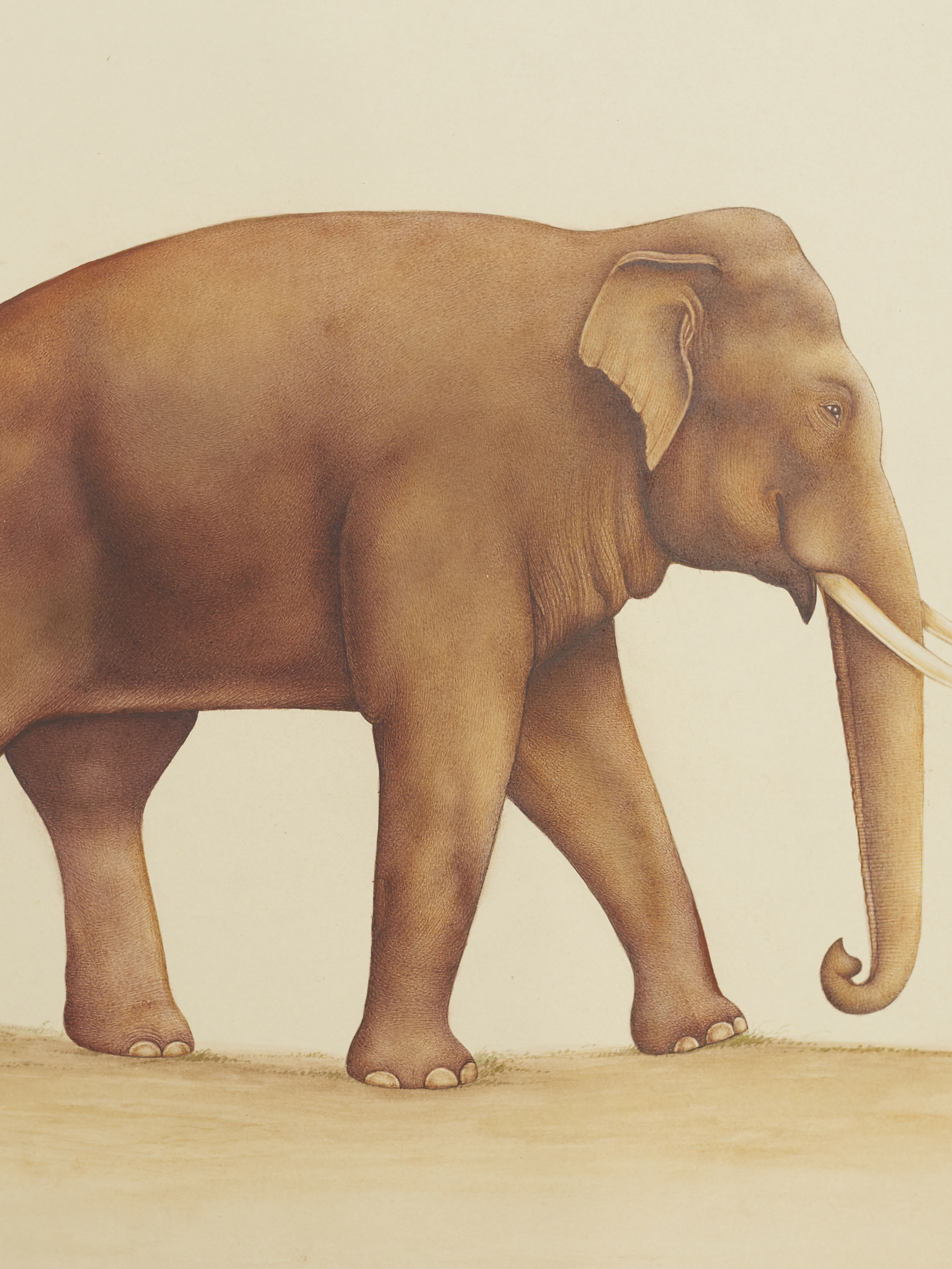Elephant with Savari Miniature Painting