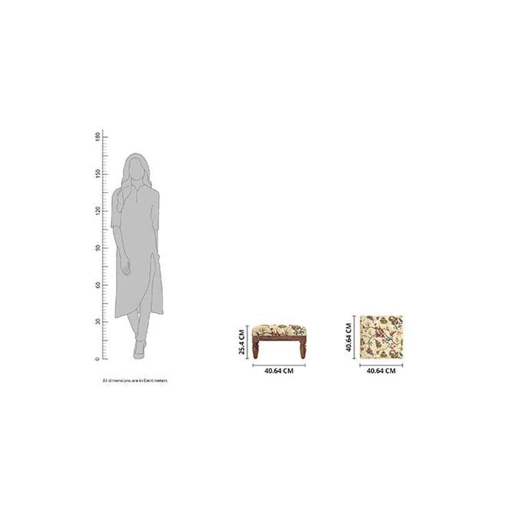 Teva Solid Wood  Ottomon in  Multicolor Colour