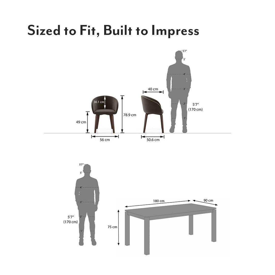 Atlas Solid Wood 6 Seater Dining Table with 6 Meryl Lounge Chair
