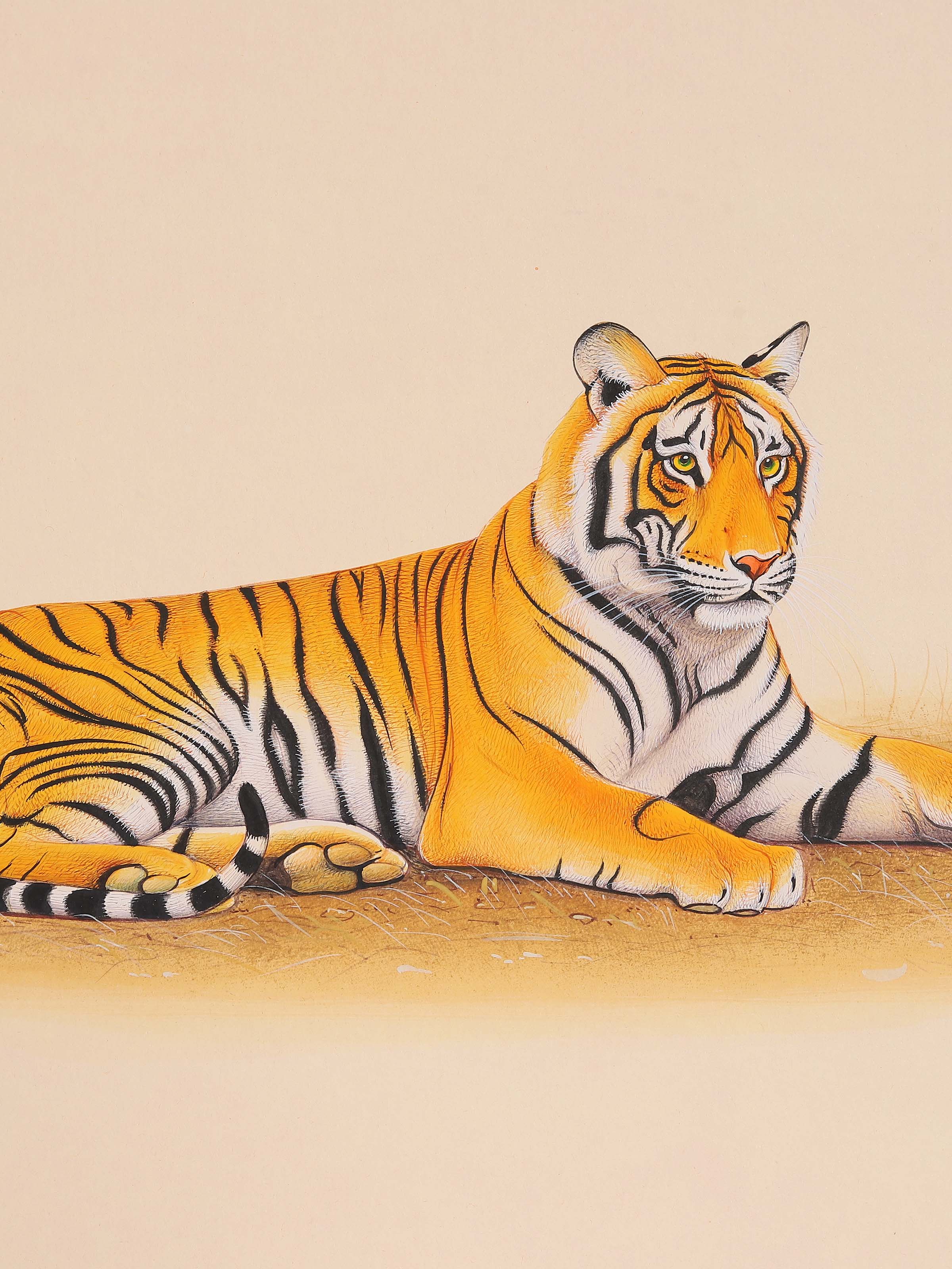 Tiger Miniature Painting
