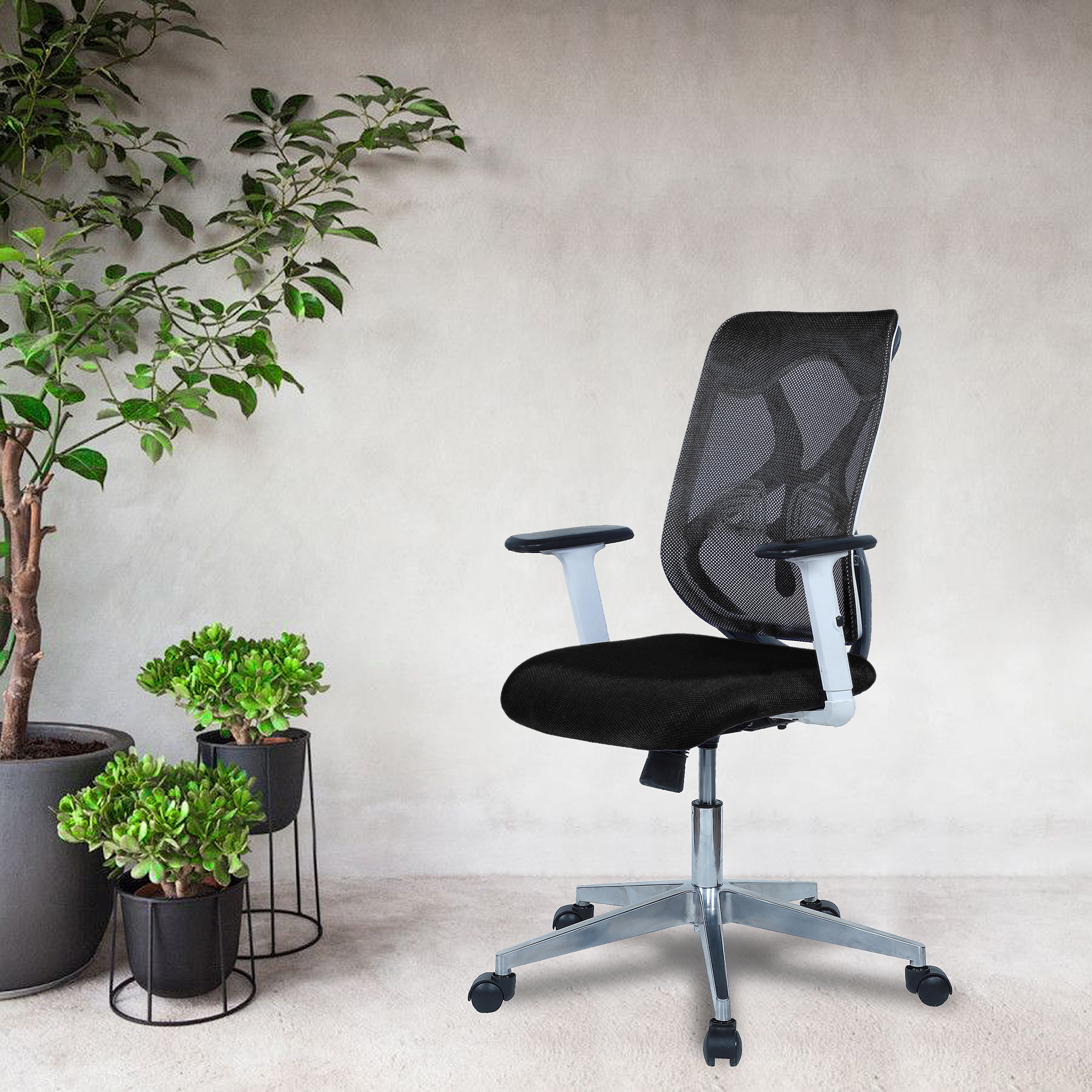 Wiwngas Mid Back Ergonomic Chair in Black Colour