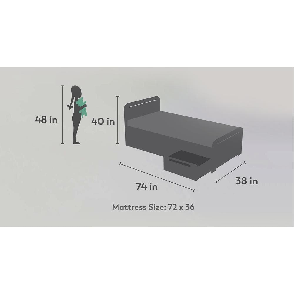 Cloud Tails Engineered Wood Drawer Storage Bed in Slate Grey Colour
