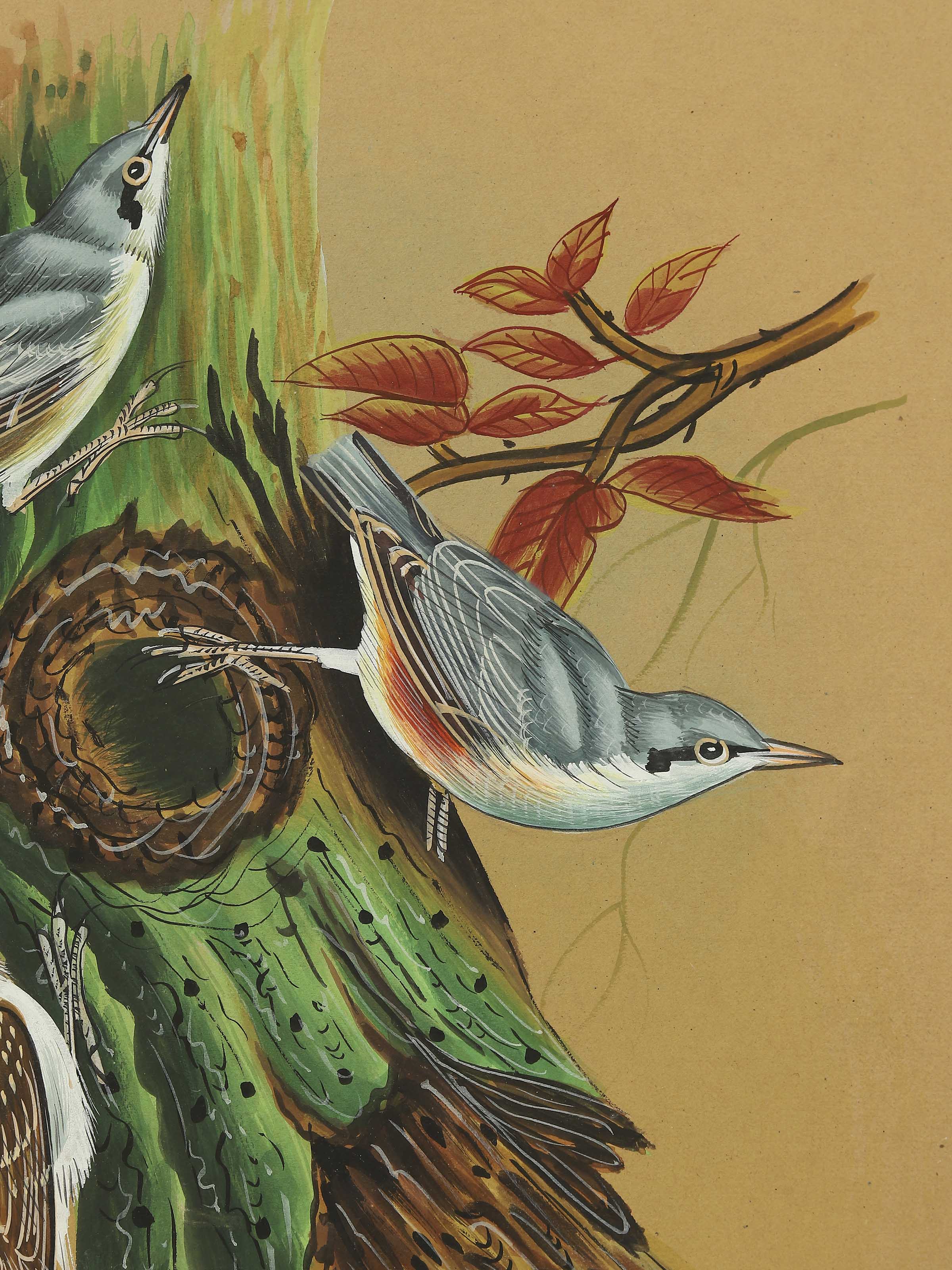Birds Miniature PaintingV