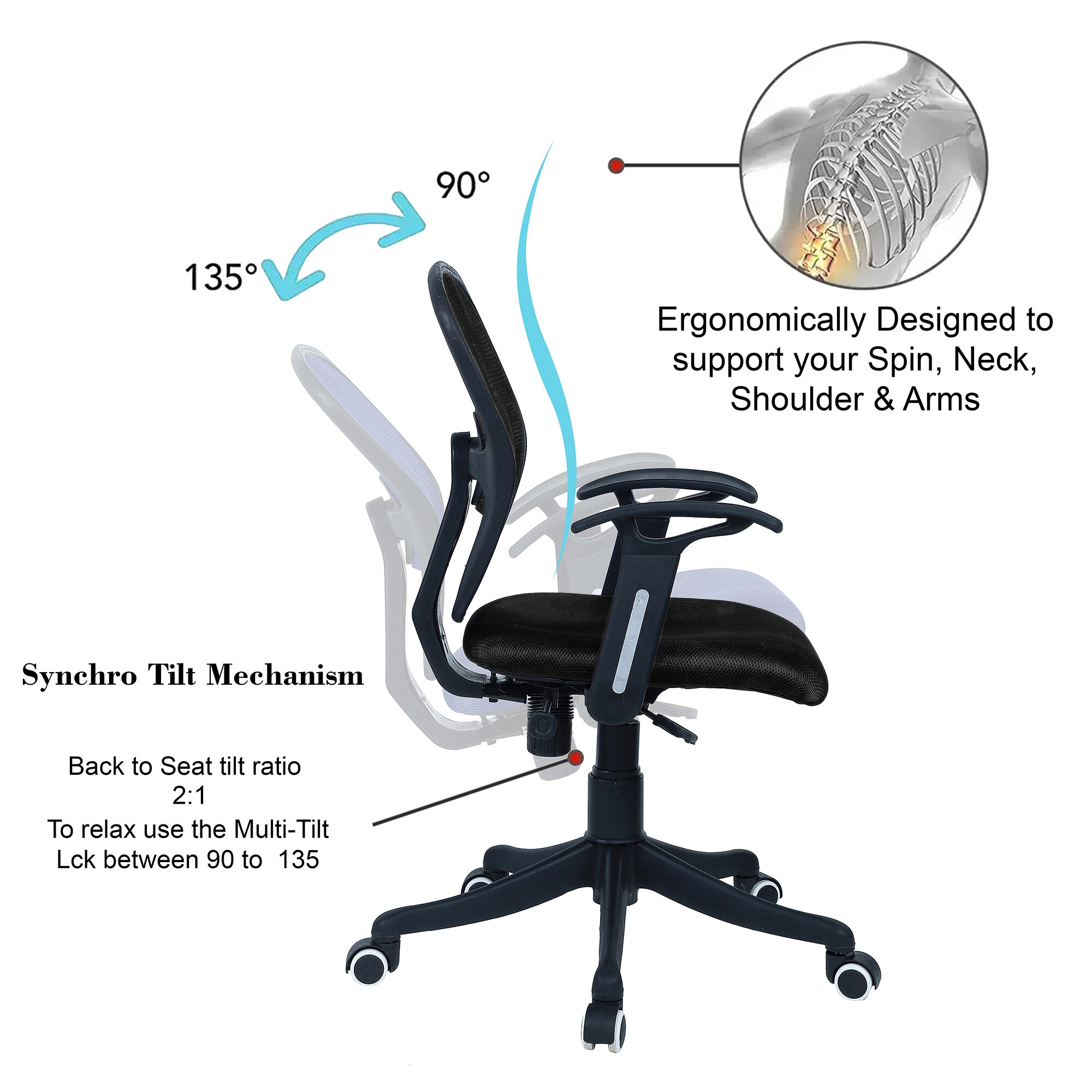 Aaeroa Low Back Ergonomic Chair in Black Colour