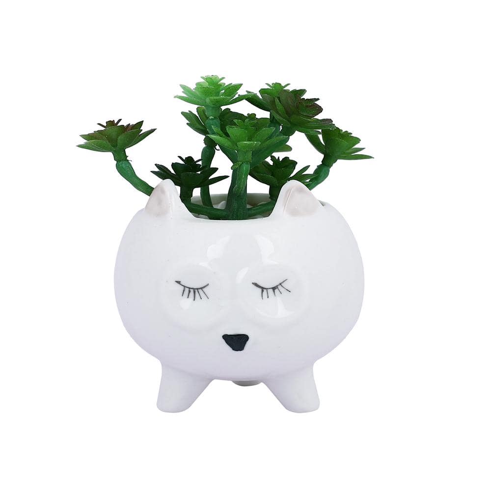 White 1 Pieces Succulent Artificial Plant With Pot