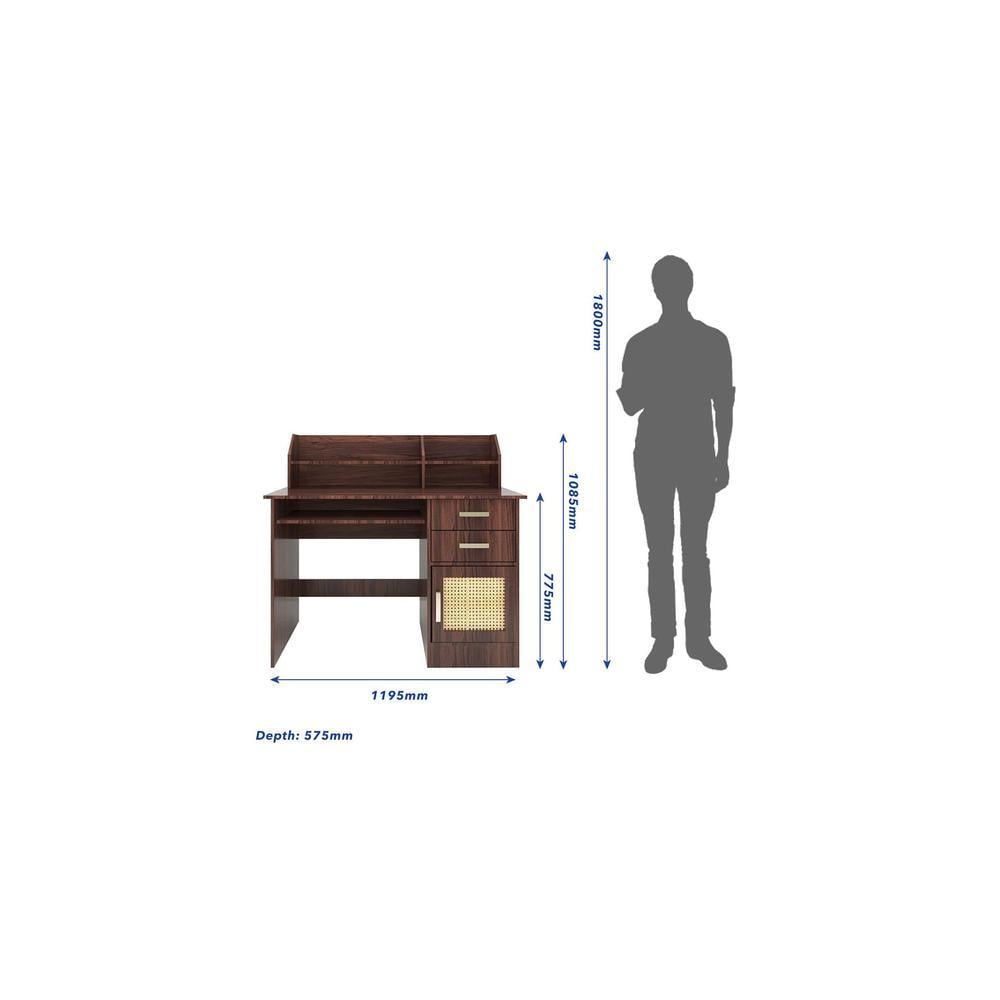 Shamon Study Table (Rattan Door)