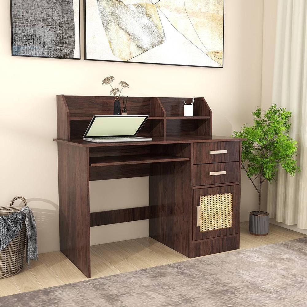 Shamon Study Table (Rattan Door)