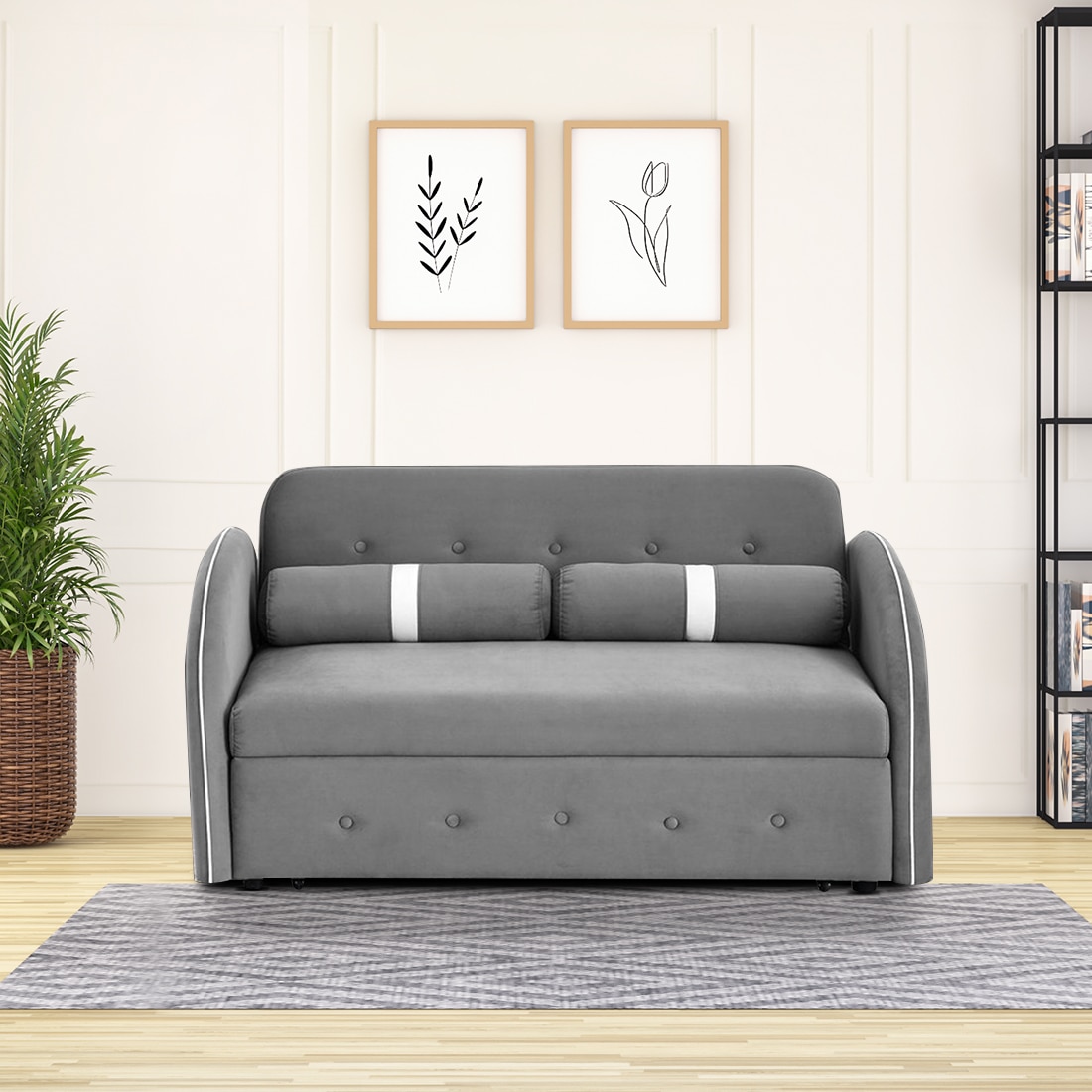 Jayen  Pull Out Sofa cum Bed  in Grey Colour - Home Lifestylez