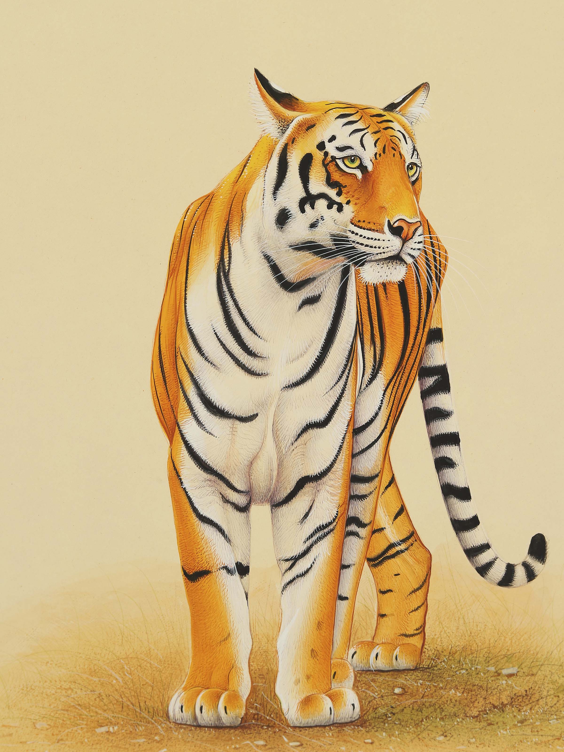 Tiger Miniature Painting
