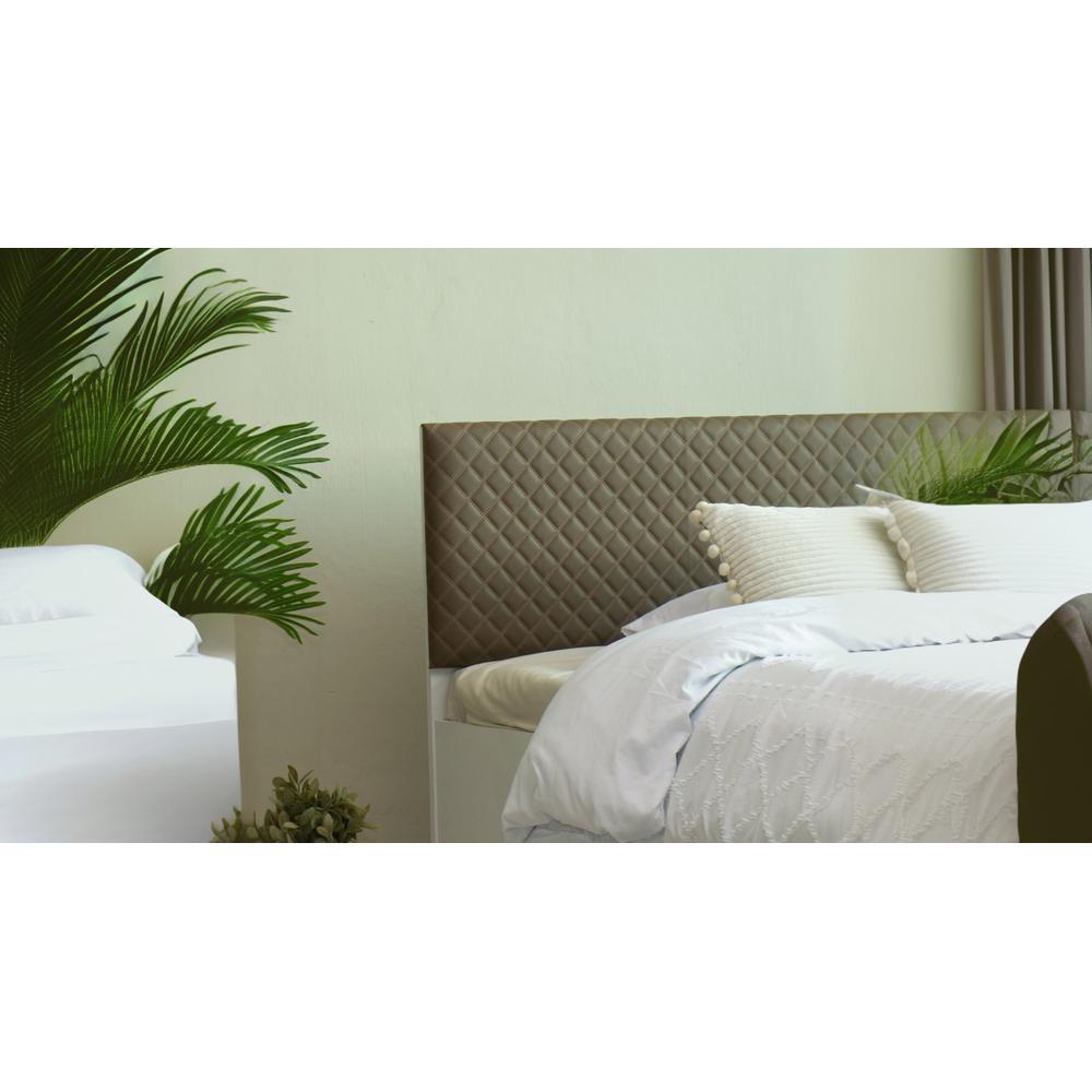 Havelock Engineered Wood Queen Size Bed In White Finish
