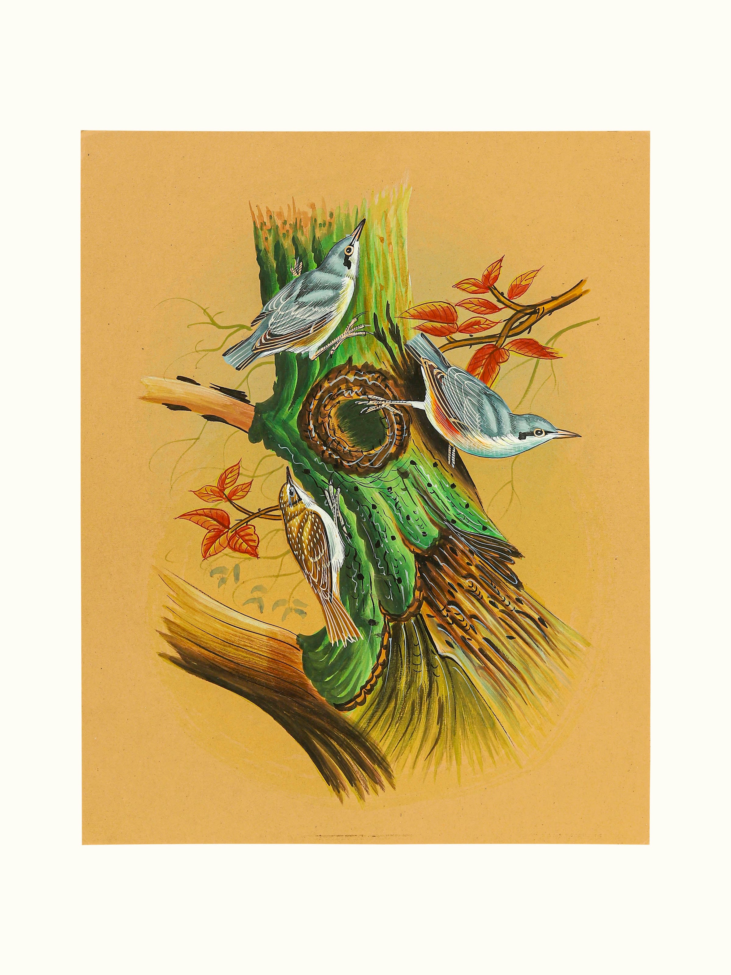 Birds Miniature PaintingV