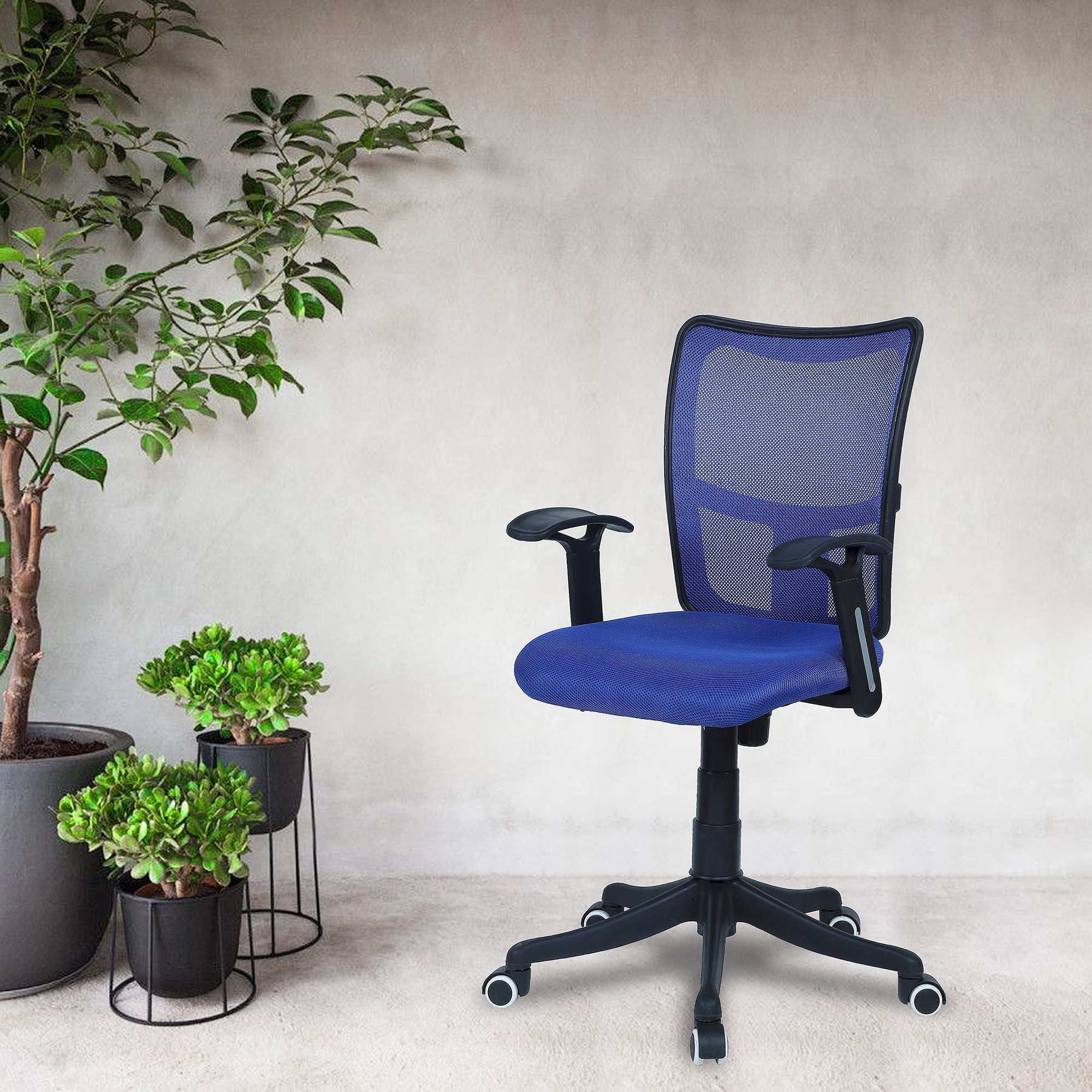 Eexcaeal Mid Back Ergonomic Chair in Blue Colour