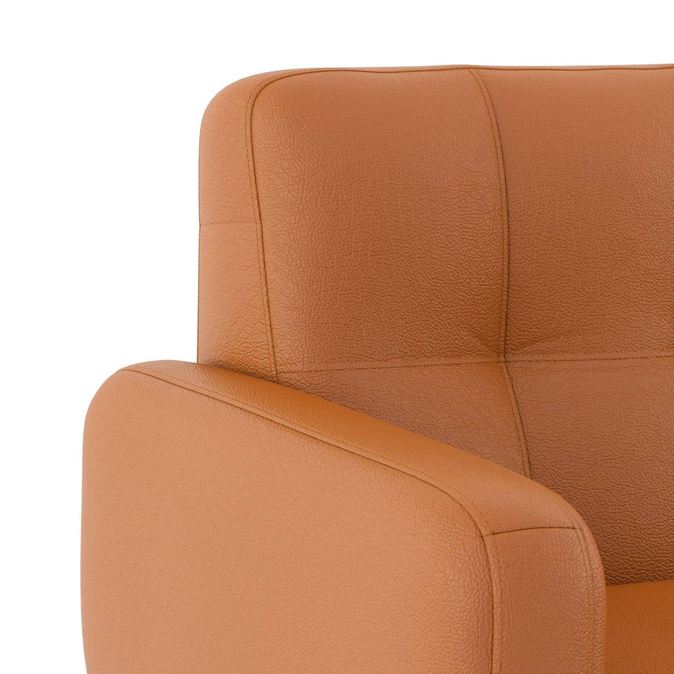 Waverly 2 Seater Leather Sofa in Apricot