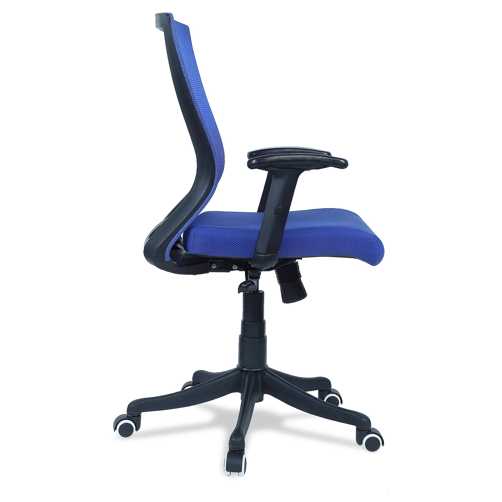 Ebeaony Mid Back Ergonomic Chair in Blue Colour
