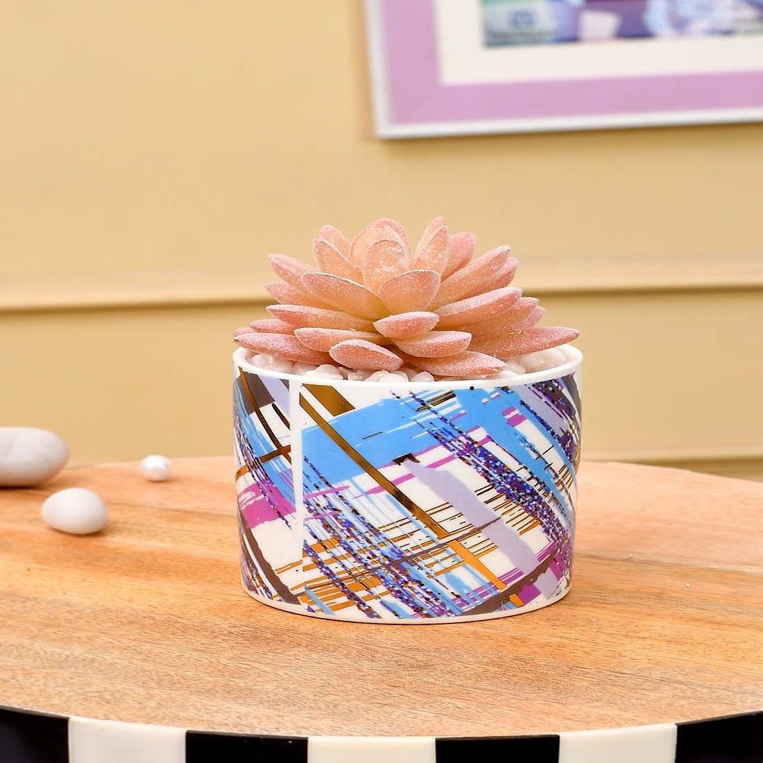 Sucullent Artificial Plant With Multicolored Stripes Along With Pot
