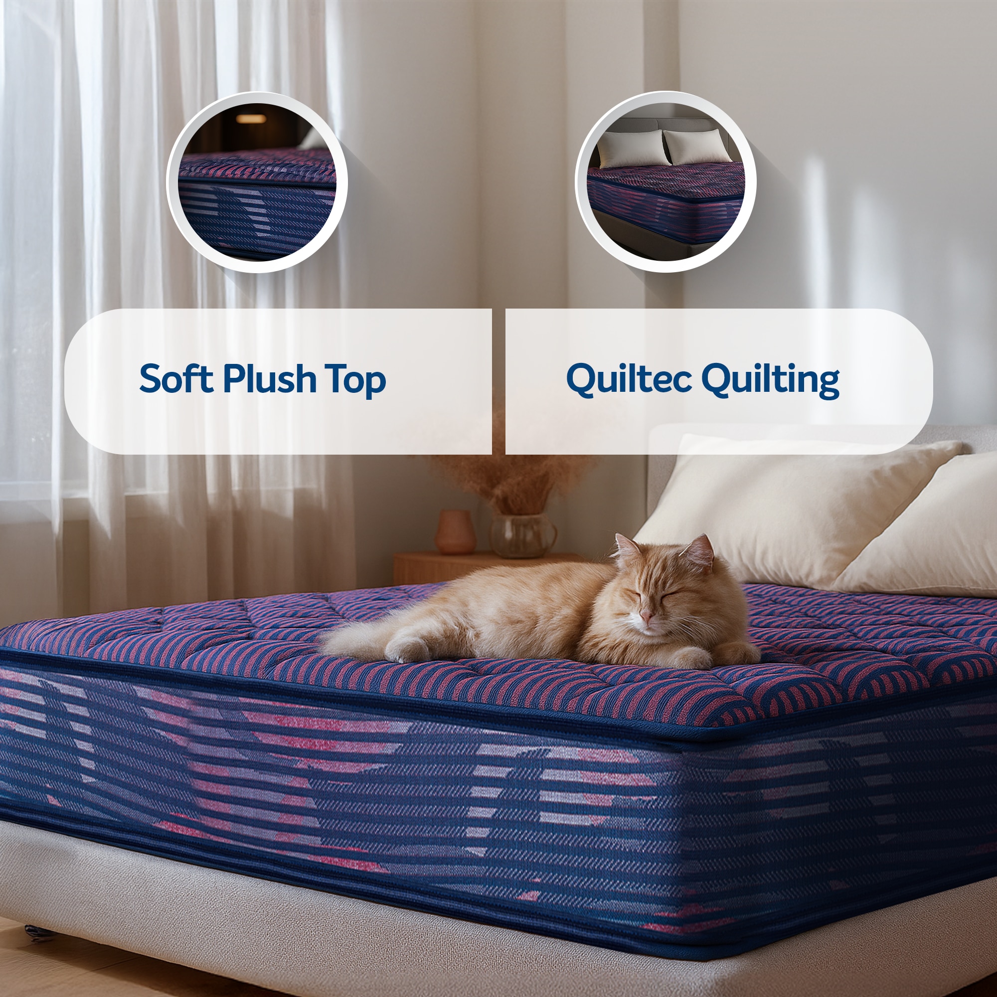 Sleepwell Champ Classic Ortho 5 inch Queen Bonded Foam Mattress (L x W: 78 inch x 66 inch)