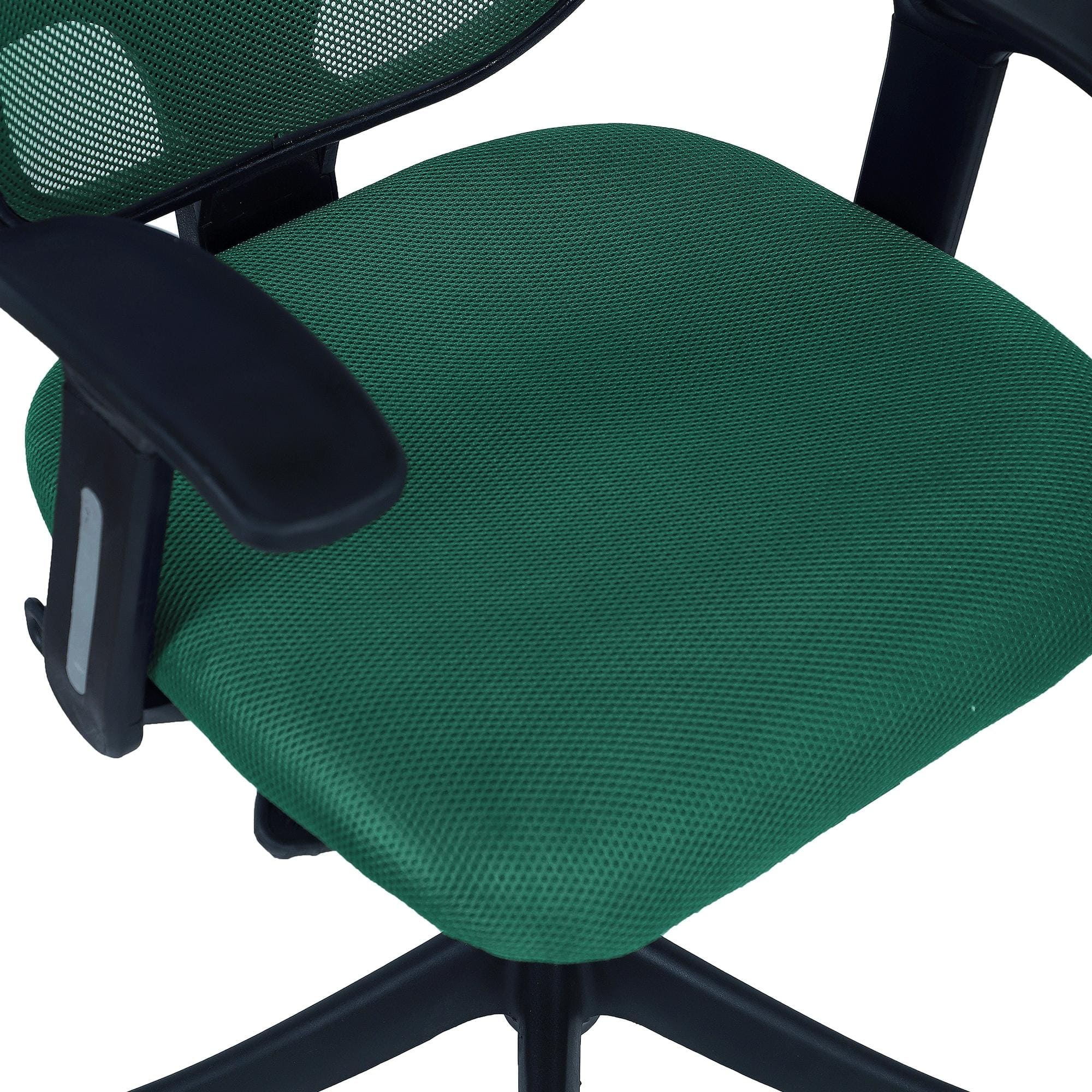 Goolda Low Back Ergonomic Chair in Dark Green Colour