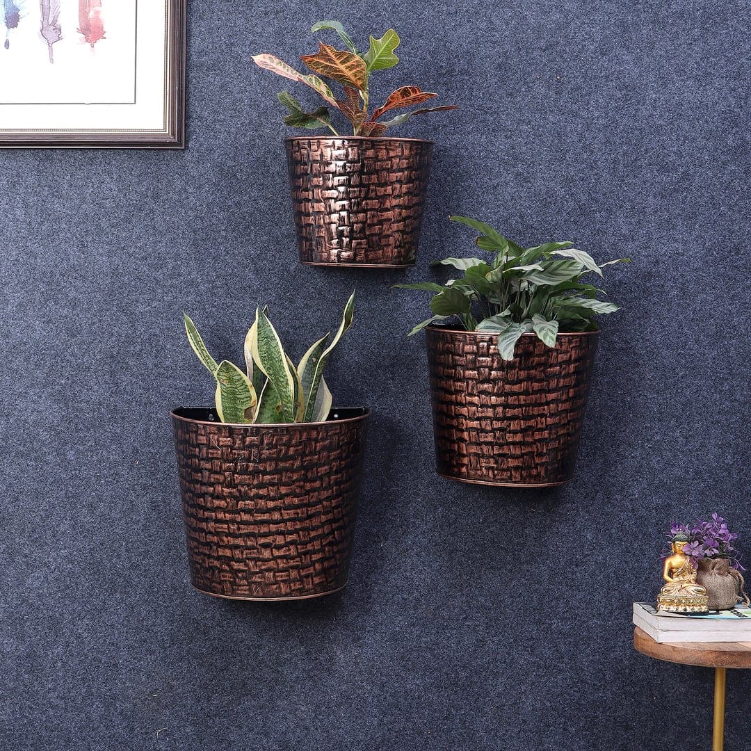 Hammered Wall Planter Set Of 3 In Copper And Black Colour