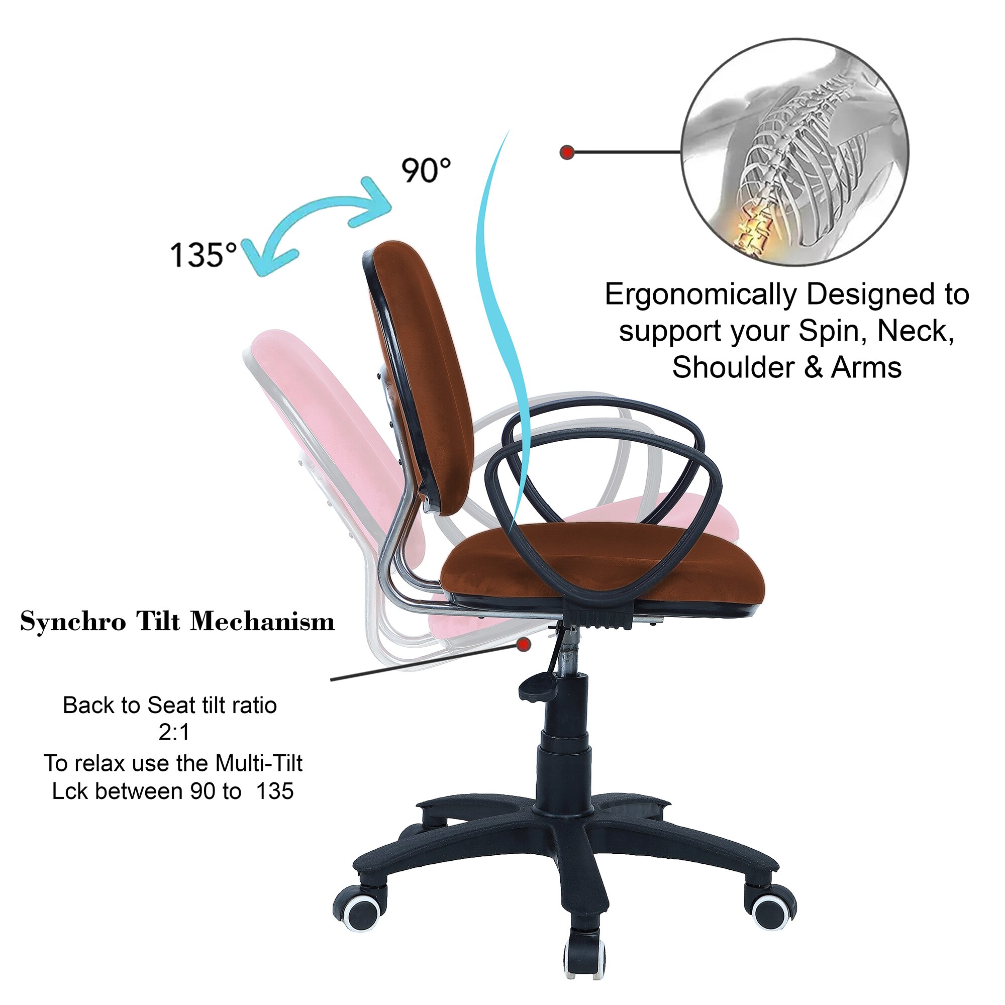 Doriona Low Back Ergonomic Chair in Brown Colour