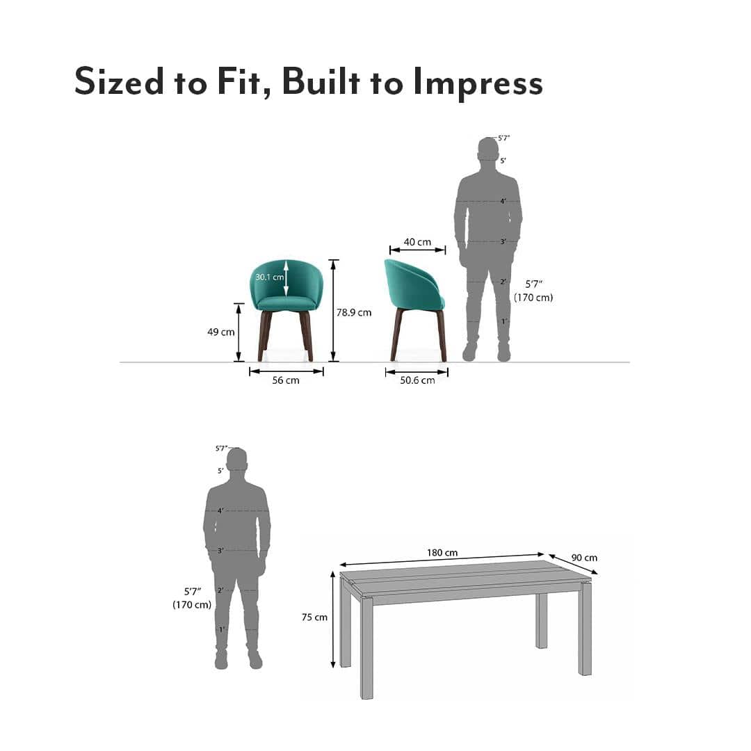 Atlas Crest Solid Wood 6 Seater Dining Table with 6 Meryl Lounge Chair