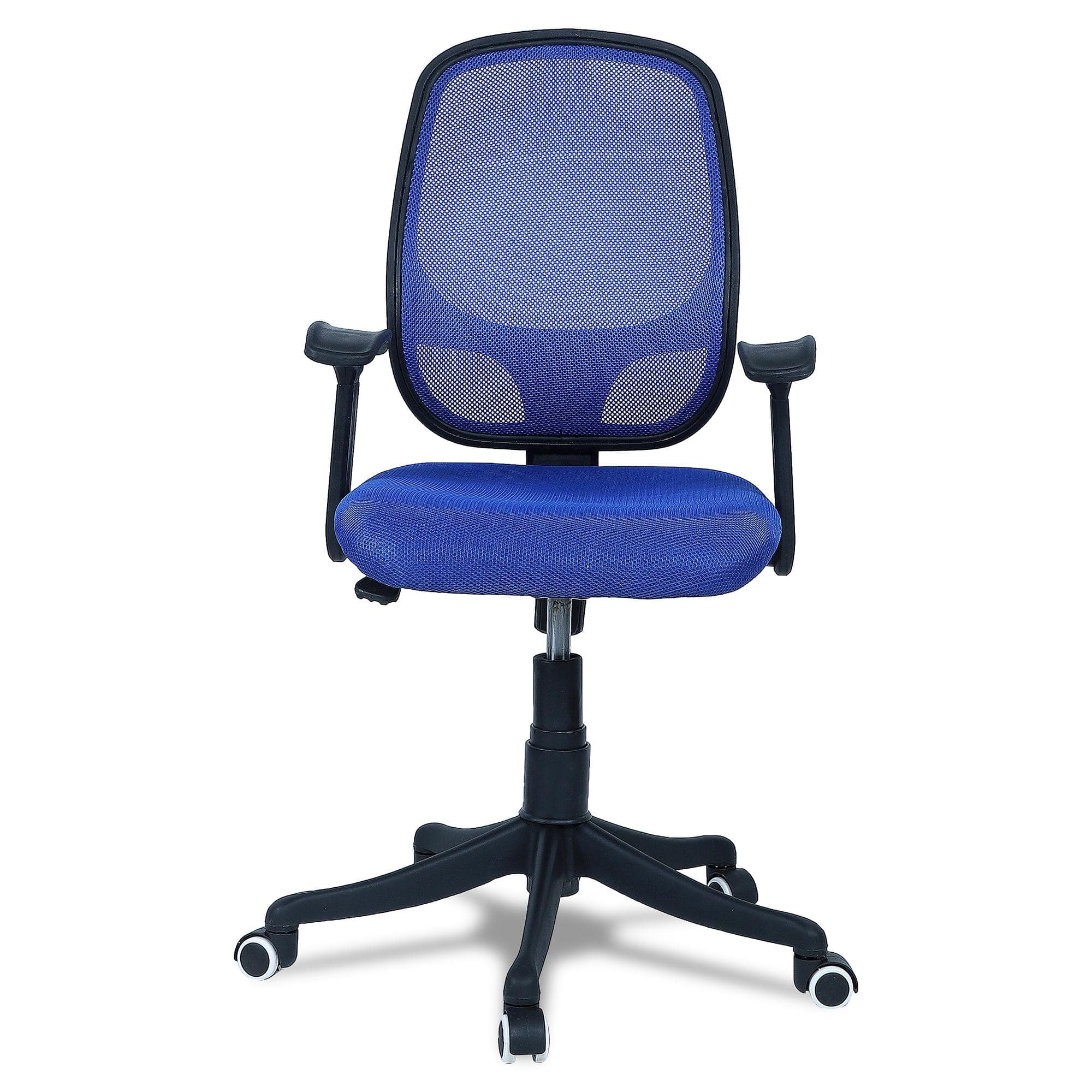 Goolda Low Back Ergonomic Chair in Blue Colour