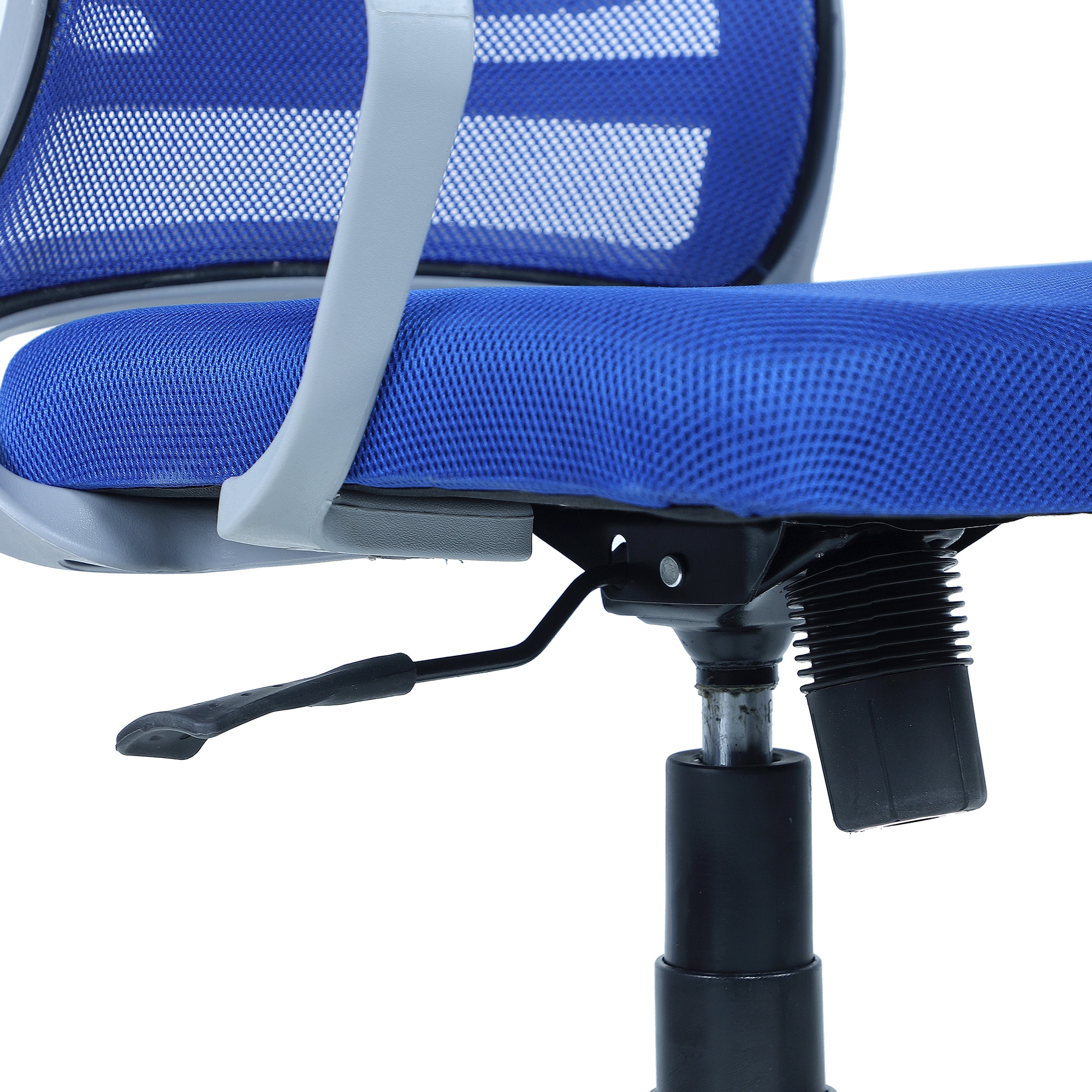 Xxeana Mid Back Ergonomic Chair in Blue Colour