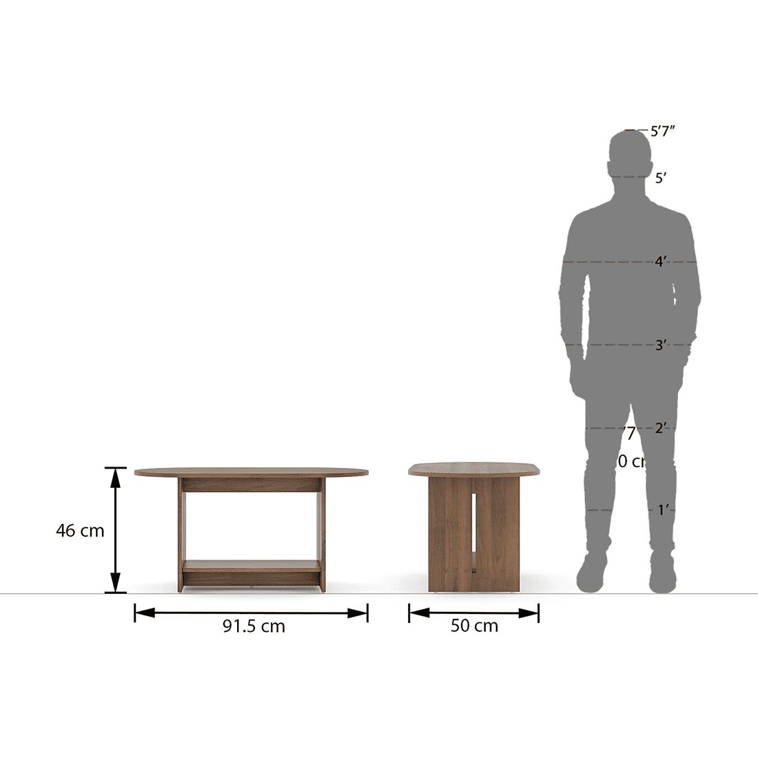 Drew Oval Shape Coffee Table In Classic Walnut