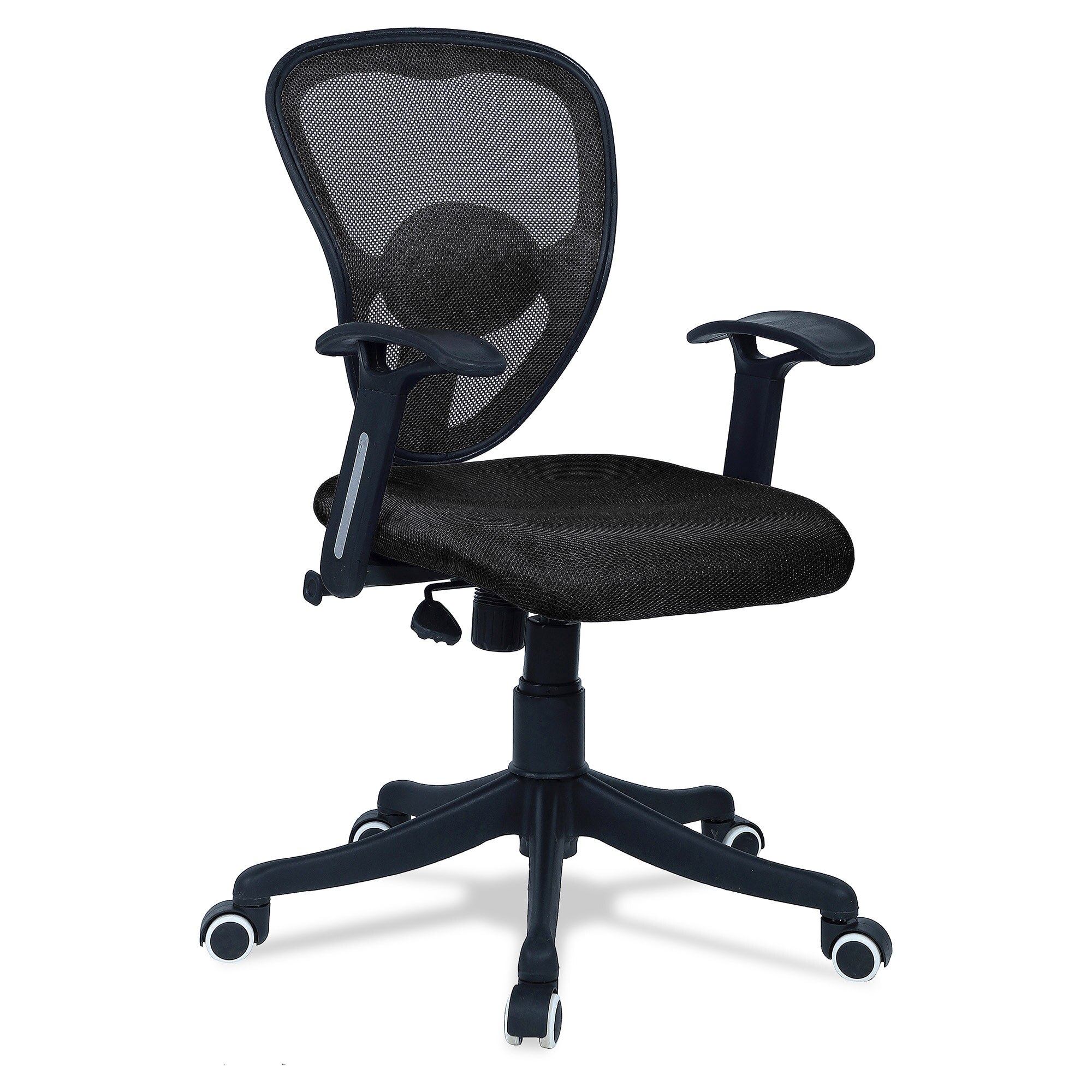 Aaeroa Low Back Ergonomic Chair in Black Colour