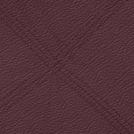 Franco 2 Seater Leather Sofa in Wine Colour