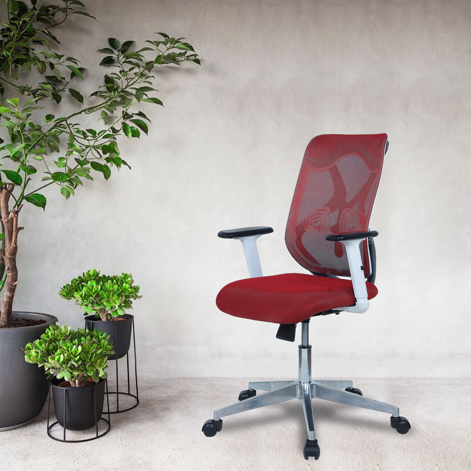 Wiwngas Mid Back Ergonomic Chair in Red Colour