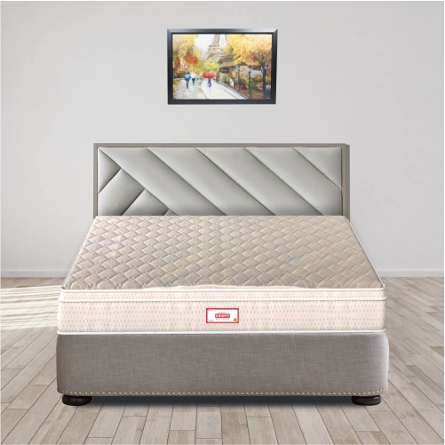 Spine FineOrthopedic Euro Top With Rebotech Technology 5 Inch Queen Size Bonded Foam Mattress (75X66 Inches) Premium Knitted Fabric, SoftRelax - Coirfit