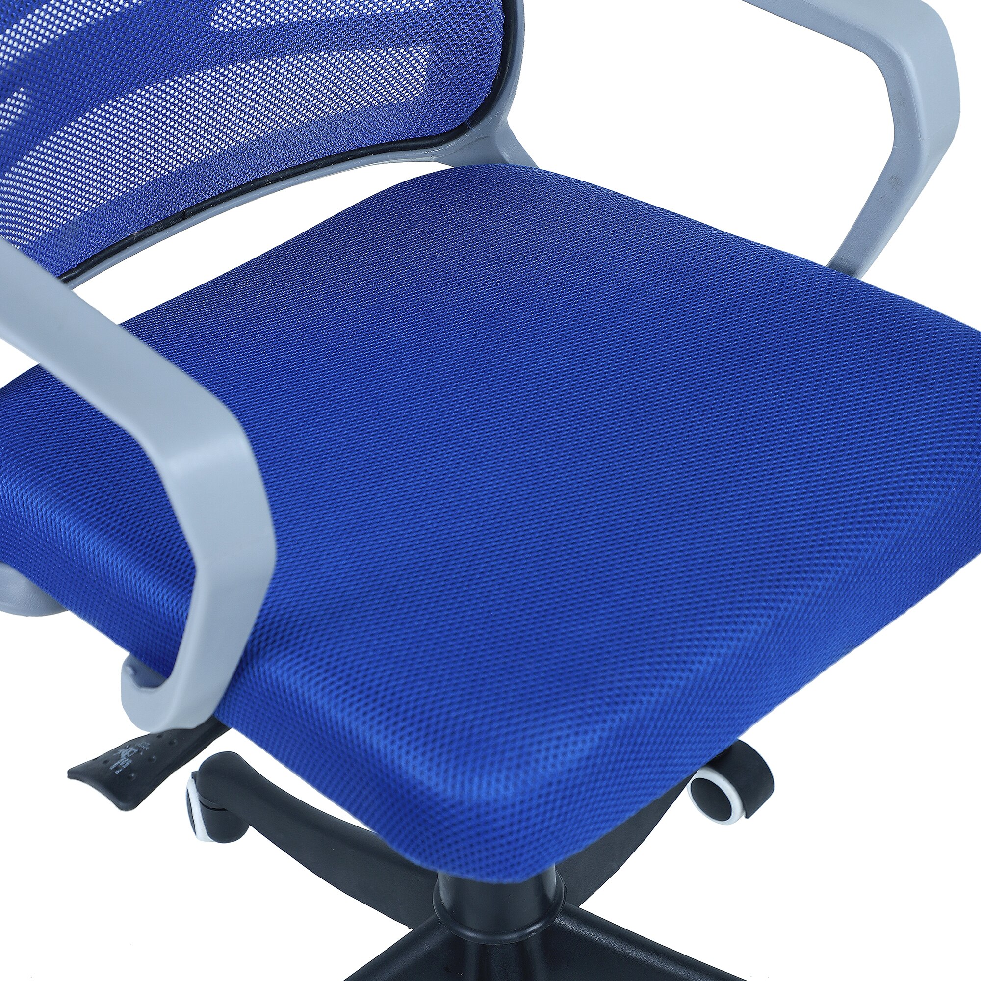 Xxeana Mid Back Ergonomic Chair in Blue Colour