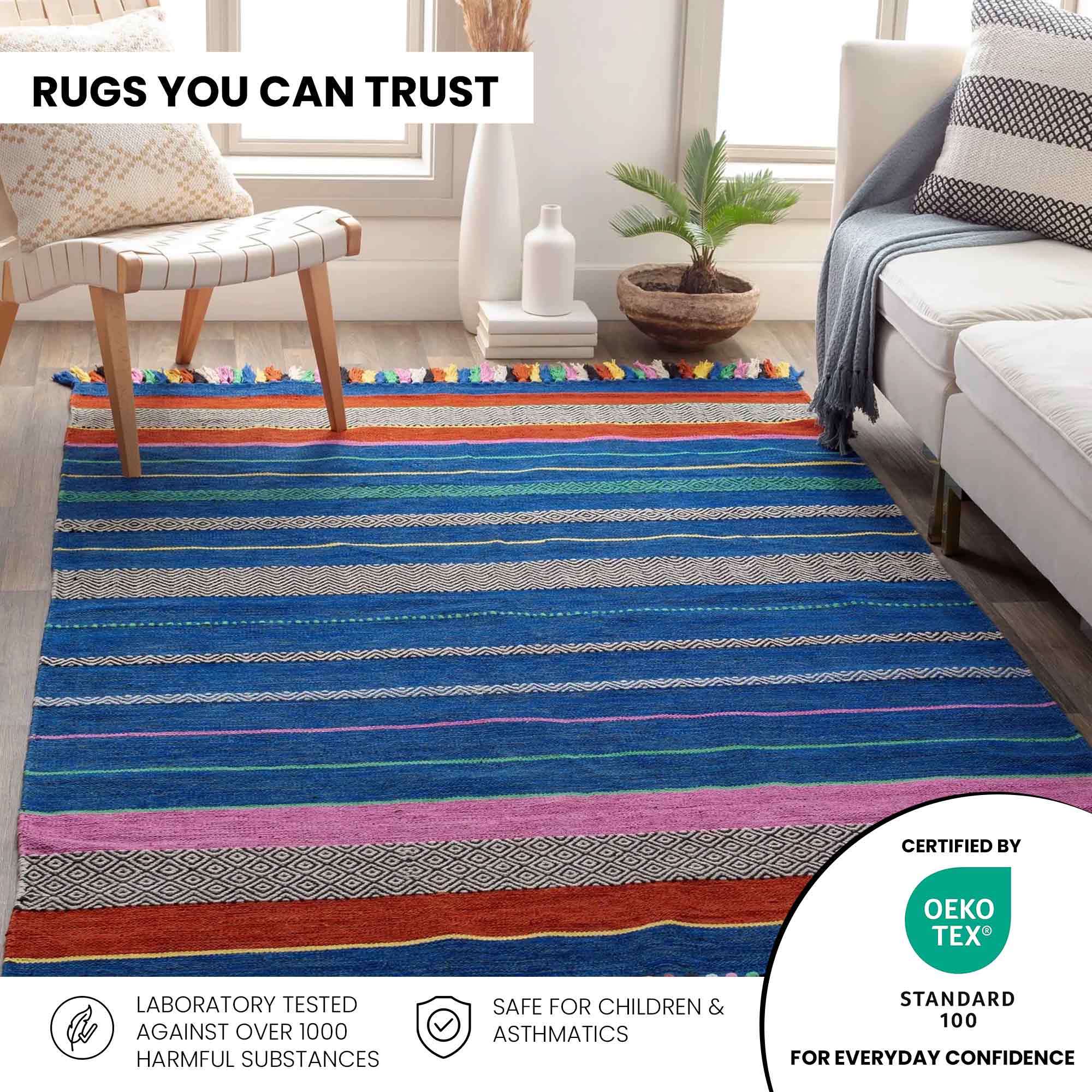 Handwoven Trenza Multicolor Rug 4x6