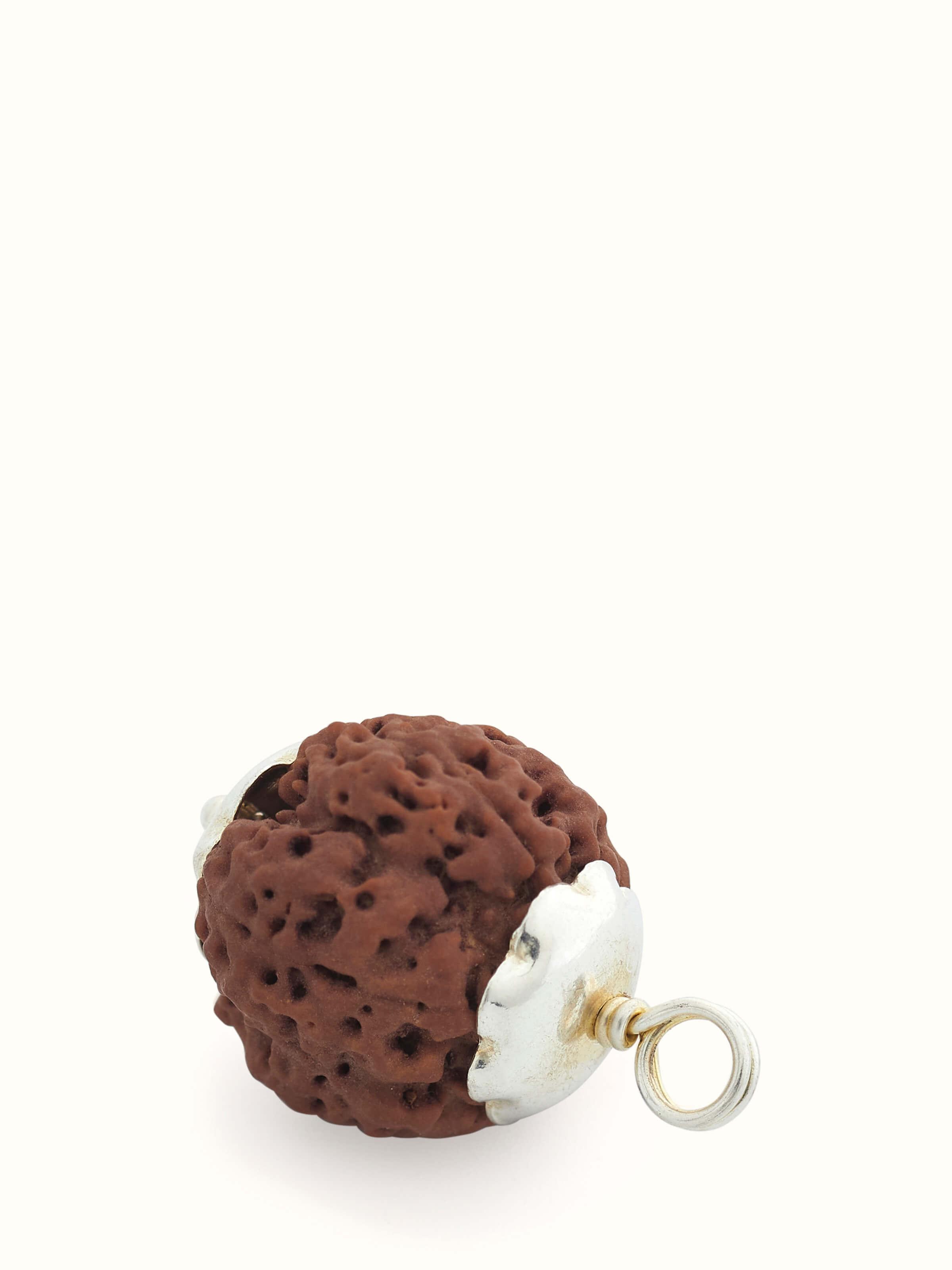 Close-up of Swadesh Panchamukhi Rudraksha Sterling Silver Pendant, highlighting the sterling silver and spiritual Rudraksha bead.