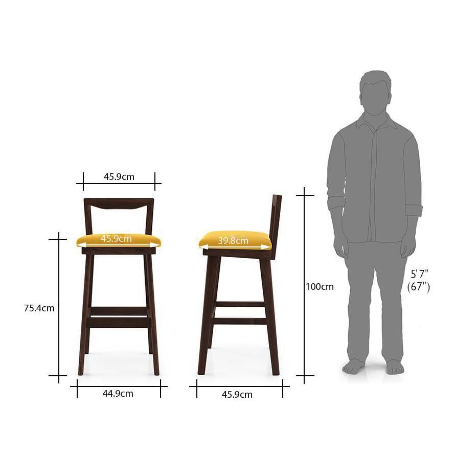 Homer Bar Stool - Set Of 2