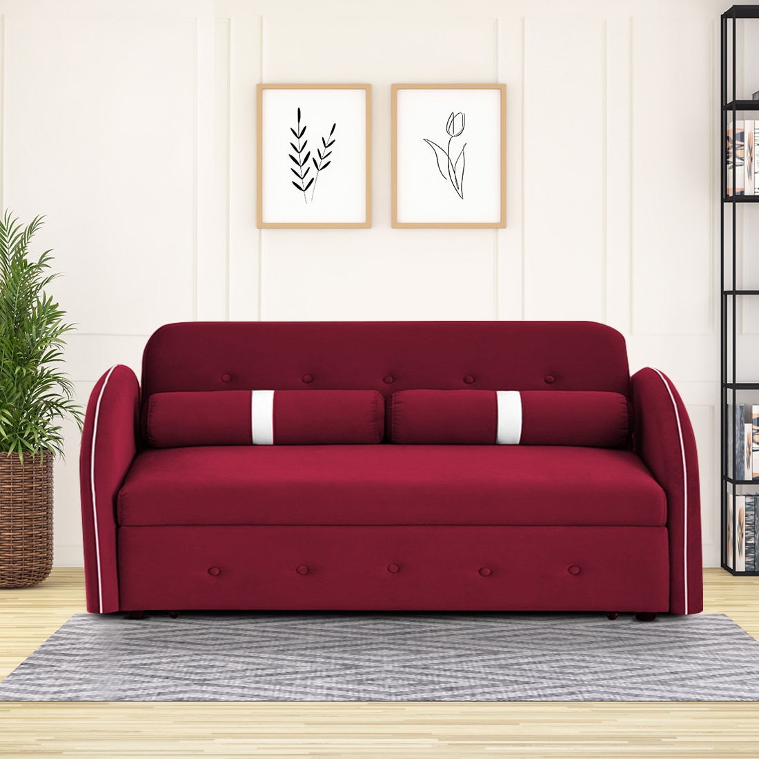 Jayen 3 Seater Pull Out Sofa cum Bed in Maroon Colour