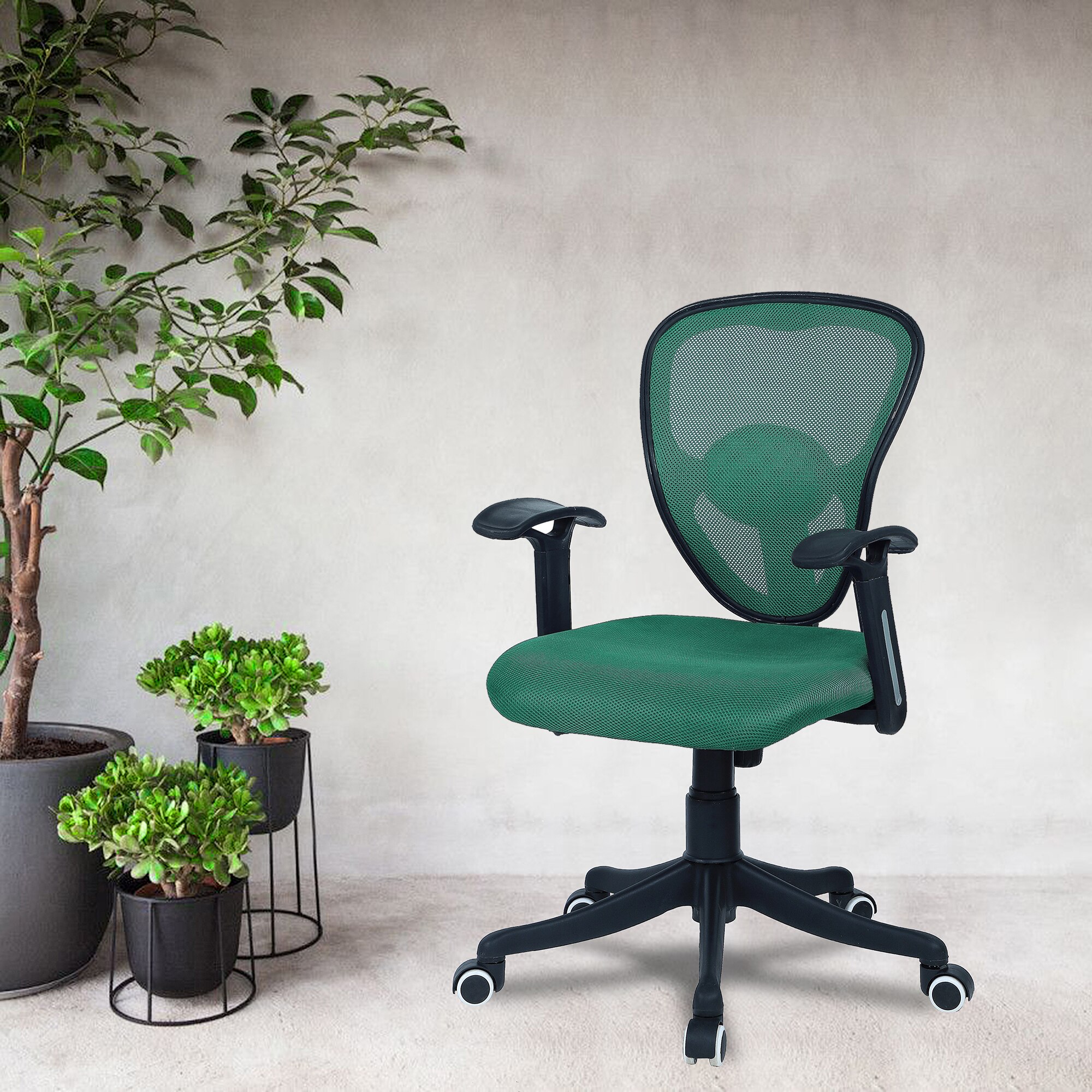 Aaeroa Low Back Ergonomic Chair in Dark Green Colour