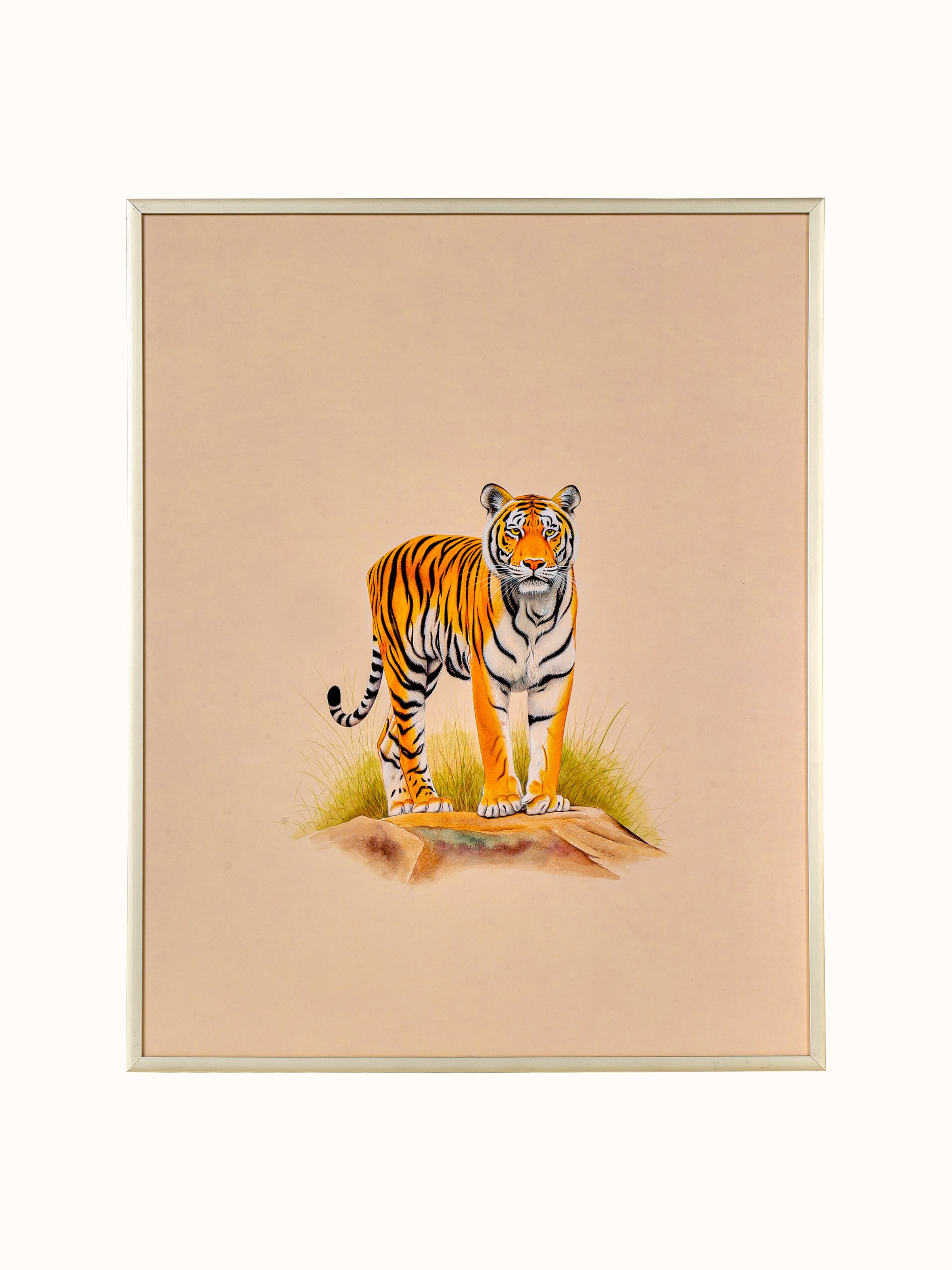 Tiger Miniature Painting