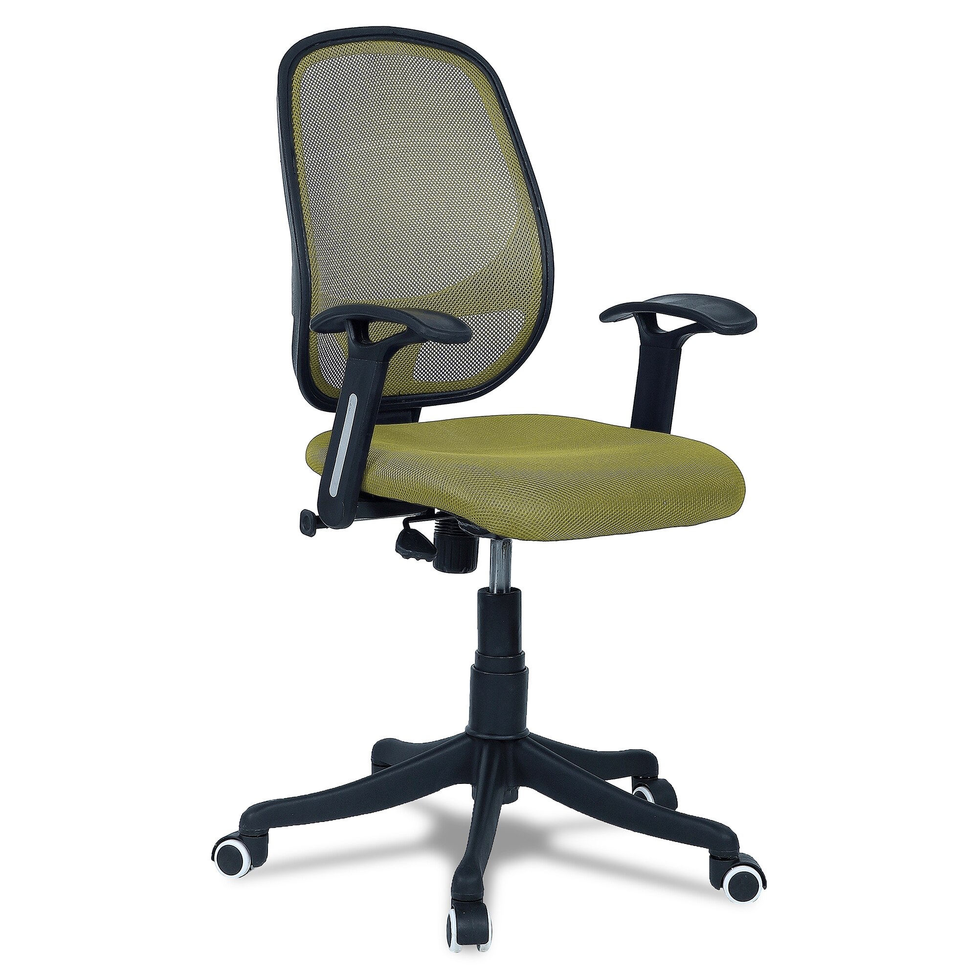 Goolda Low Back Ergonomic Chair in Pearl Green Colour